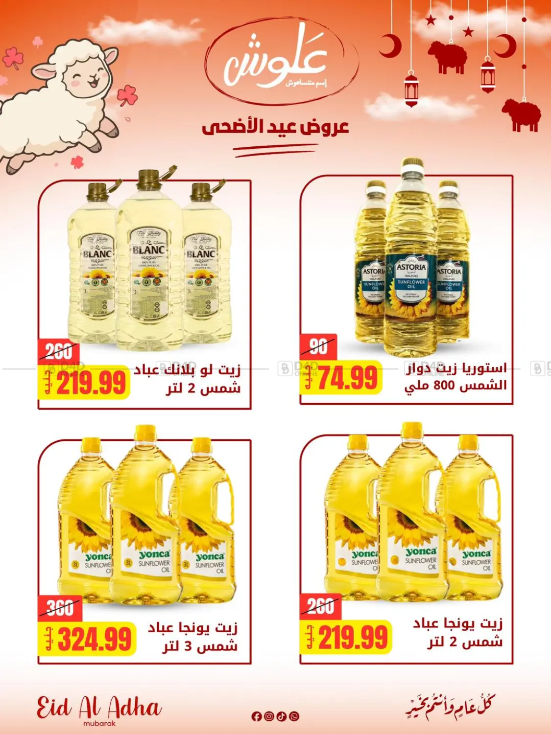 Special Offer in Cairo