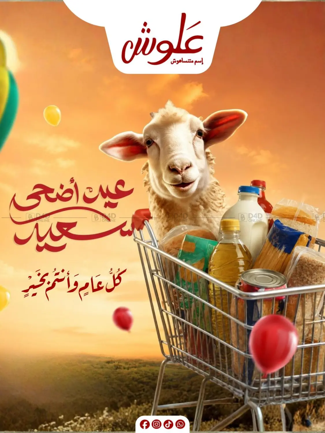 Special Offer in Cairo
