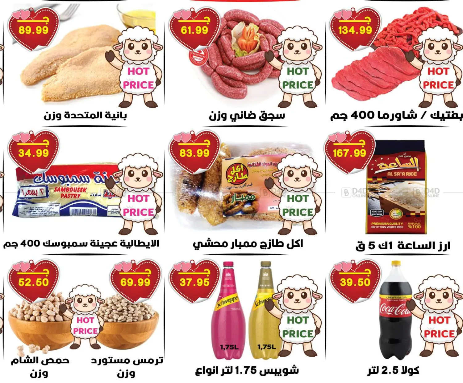 Special Offer in Cairo