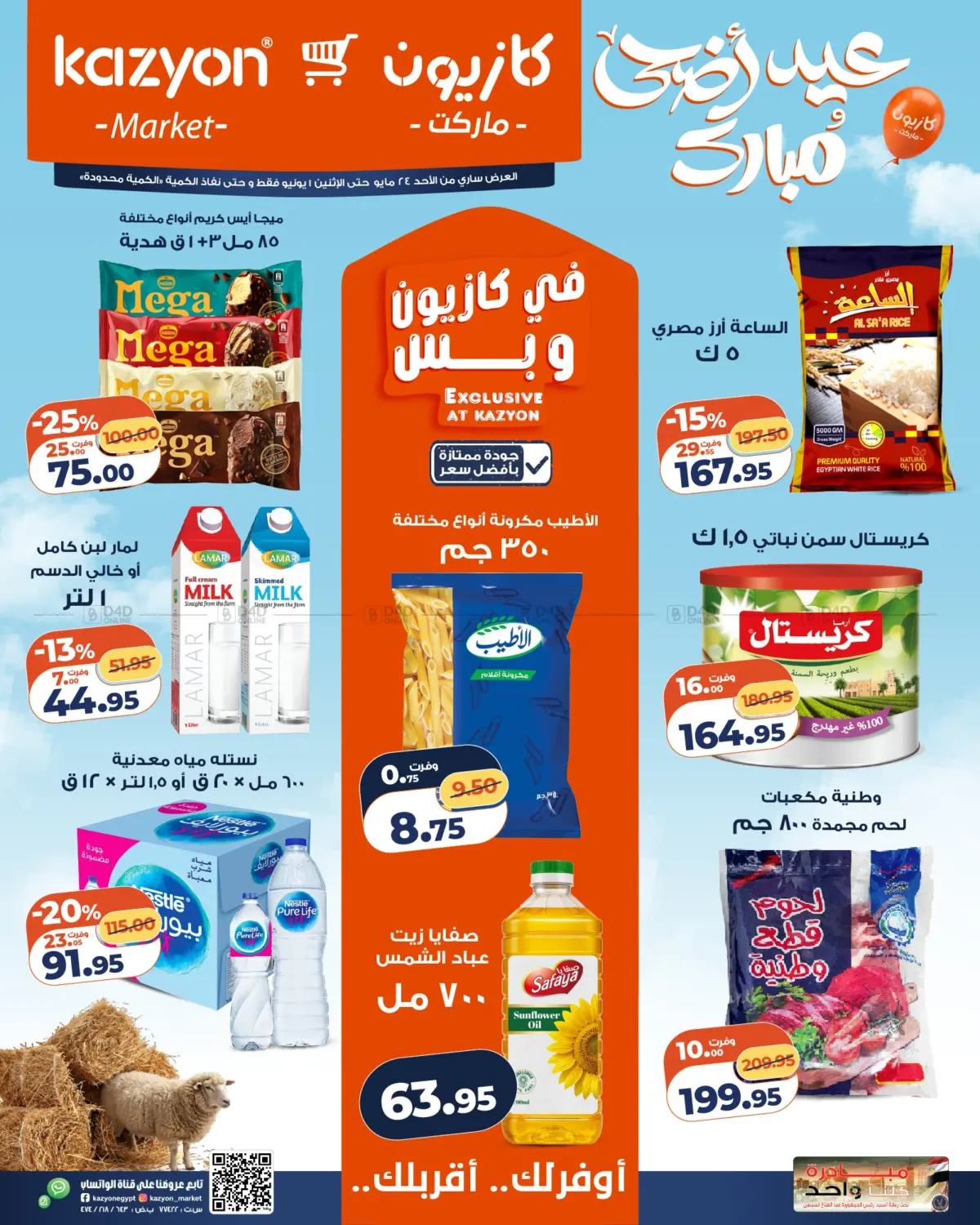 Special Offer in Cairo