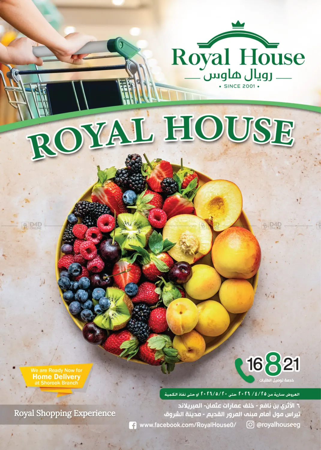 Special Offer in Cairo