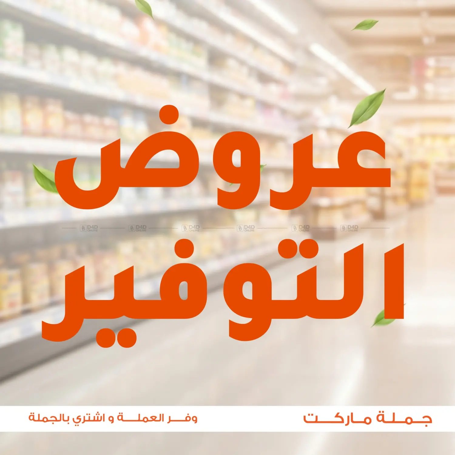 Special Offer in Cairo