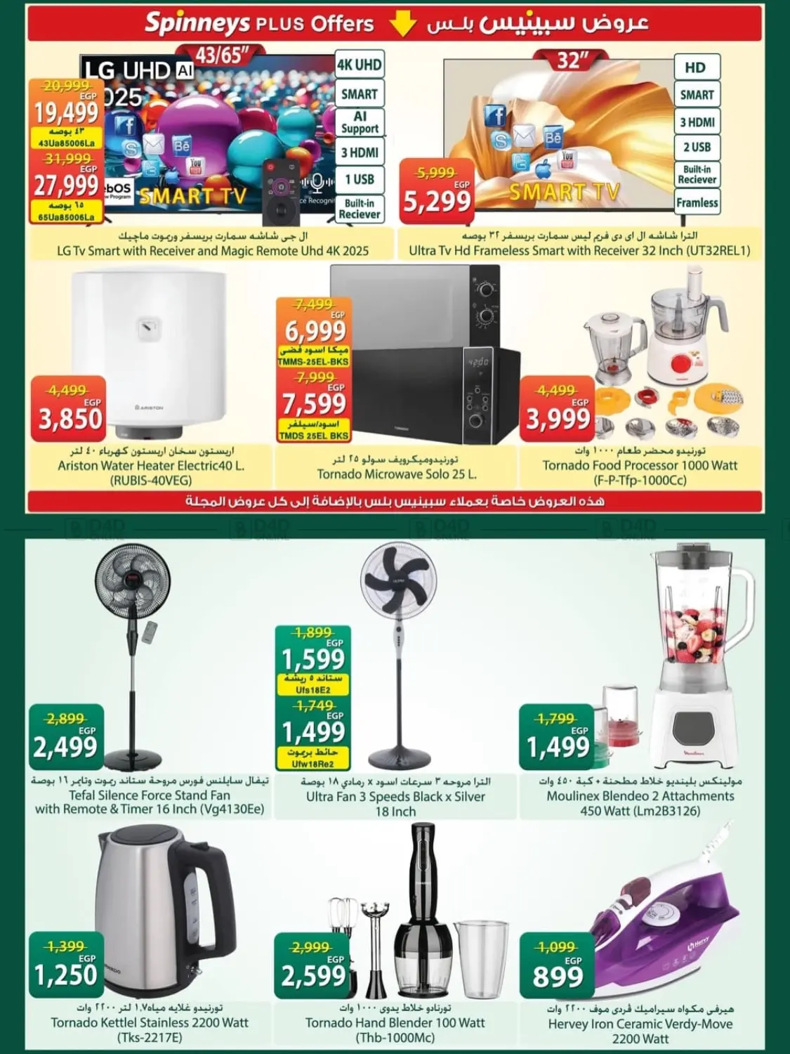 Special Offer in Cairo