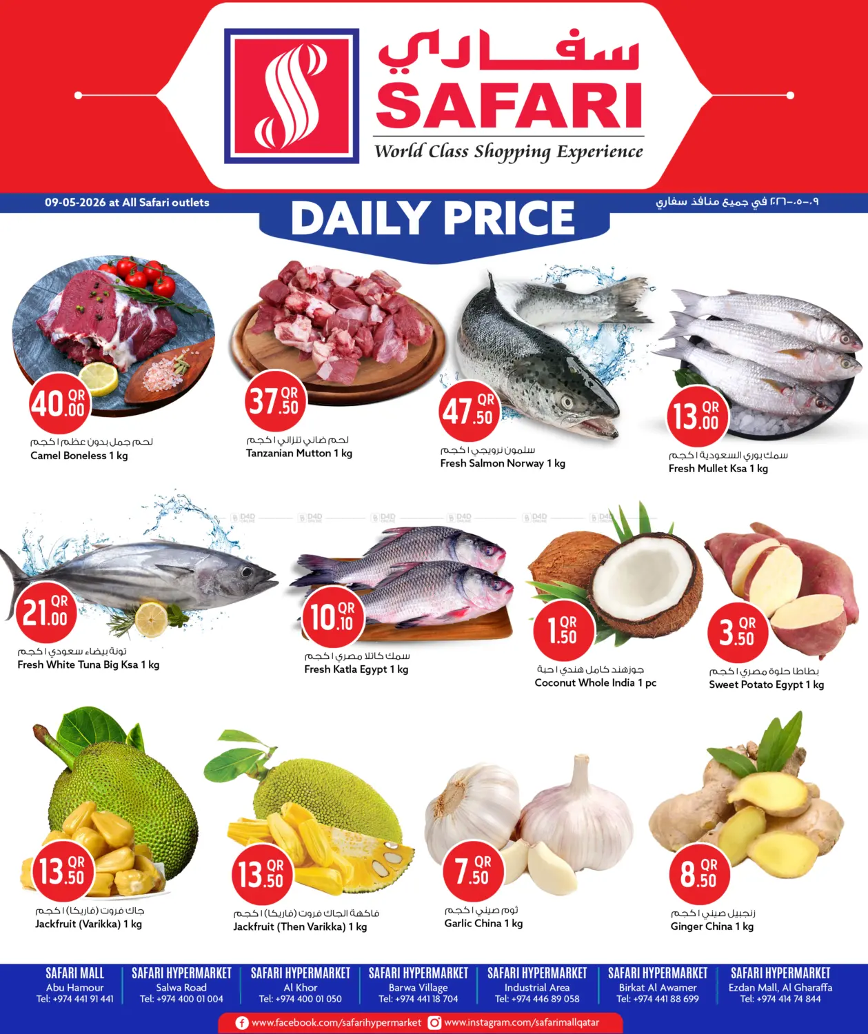 Daily Price in الخور