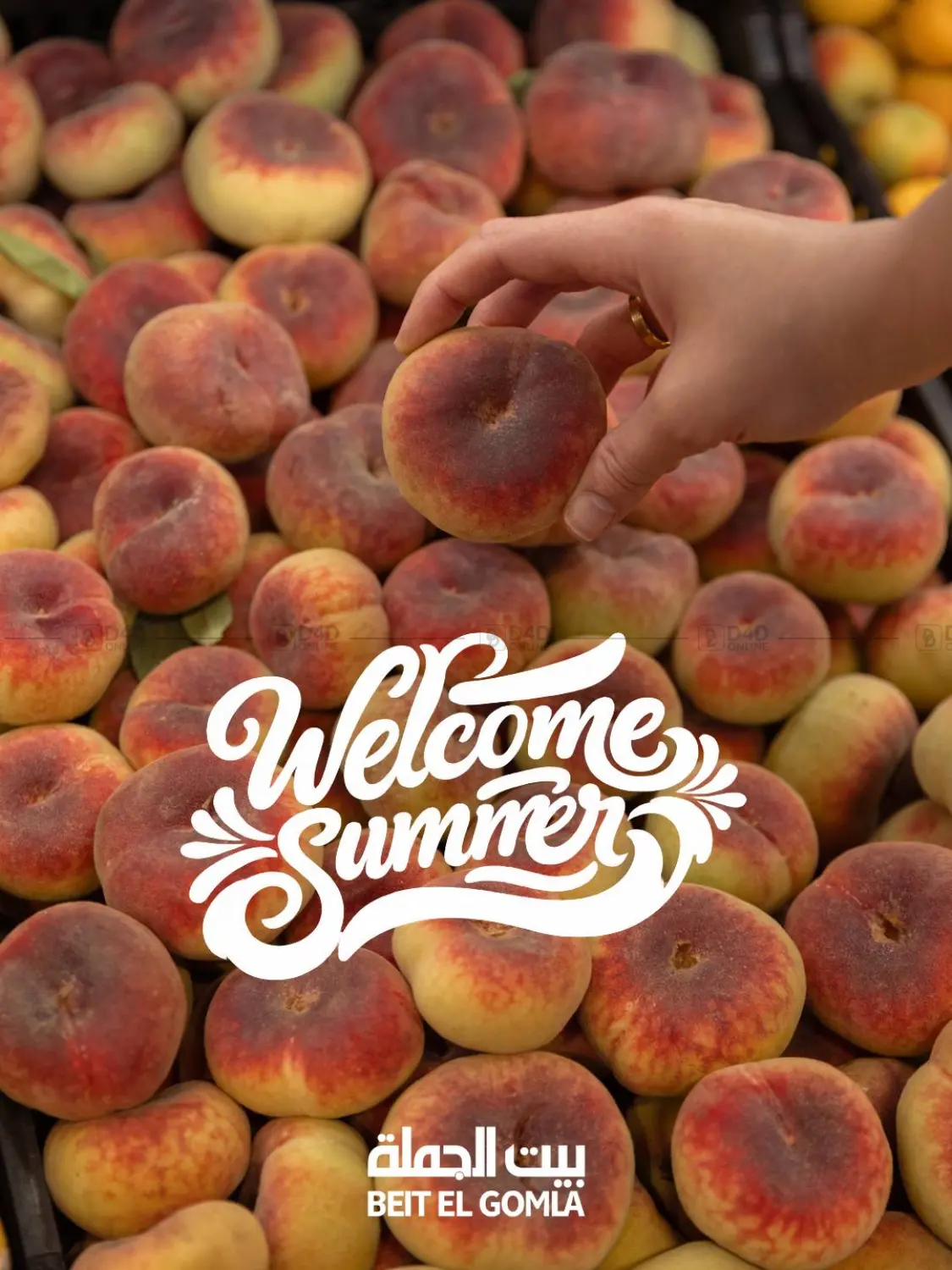 Welcome Summer in القاهرة