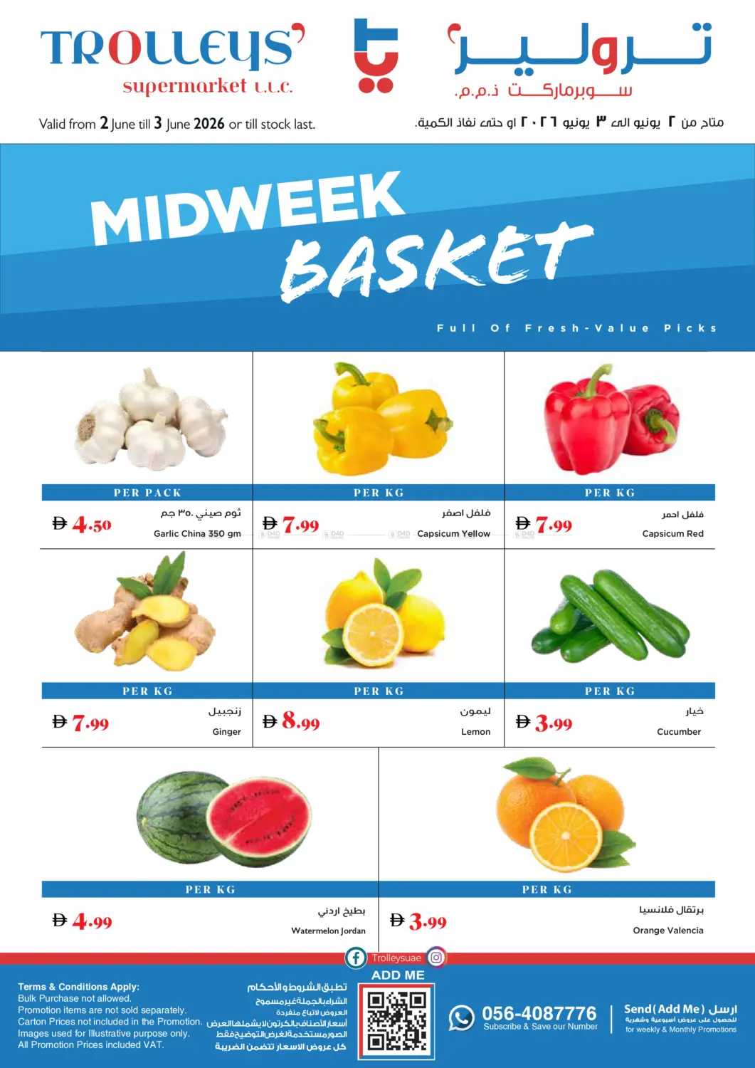 Midweek Basket in Dubai