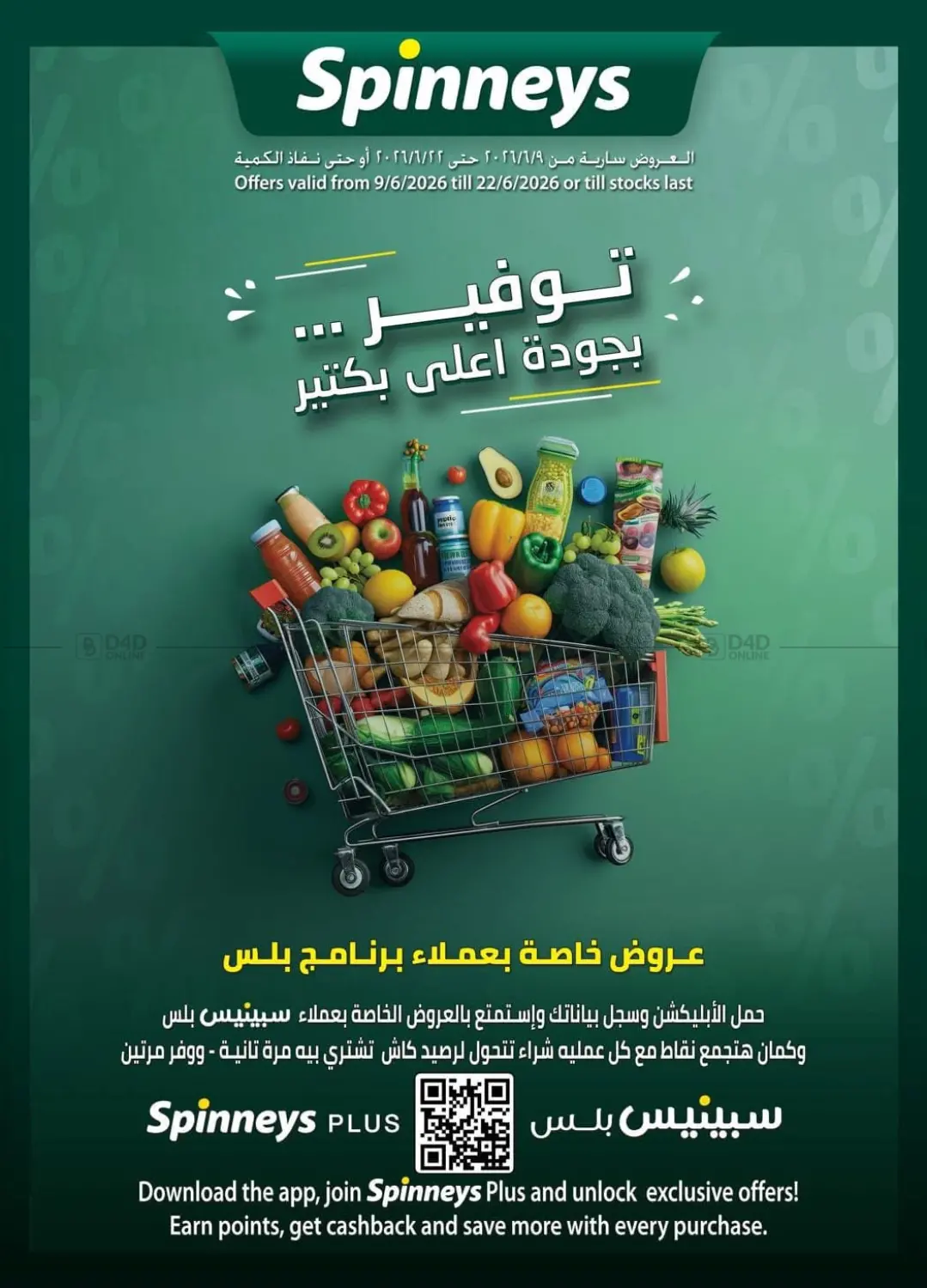 Special Offer in Cairo