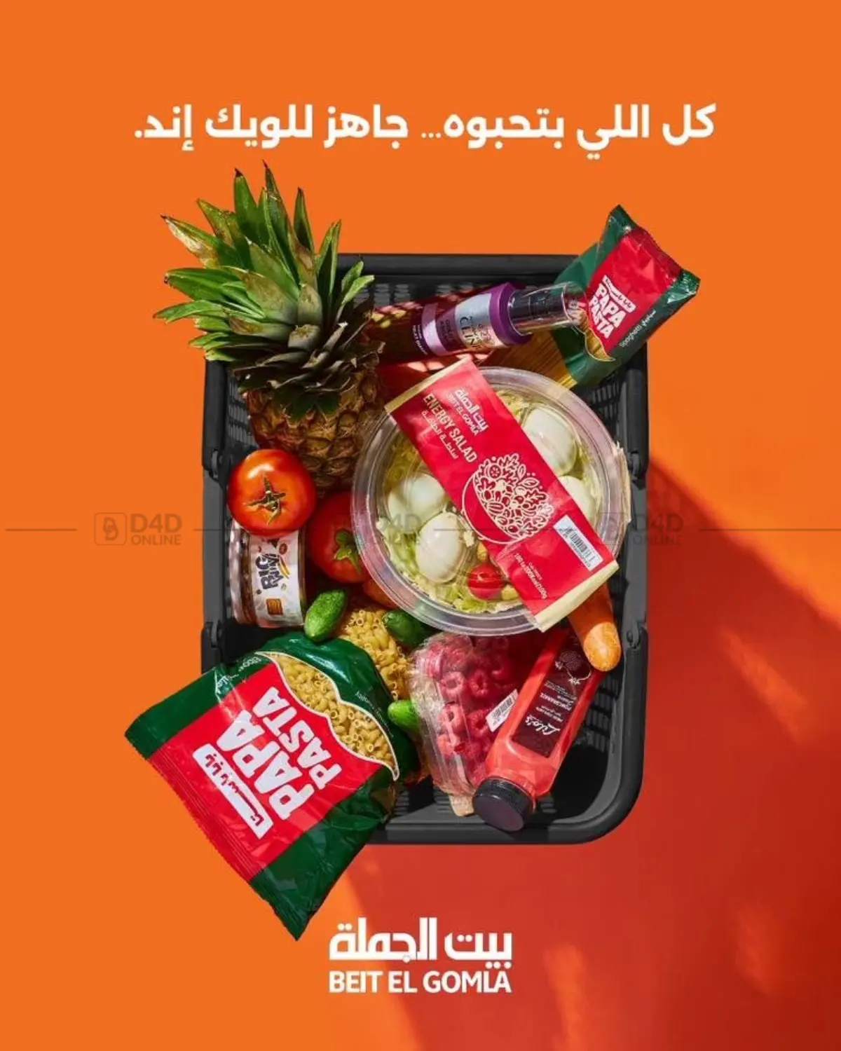 Special Offer in Cairo
