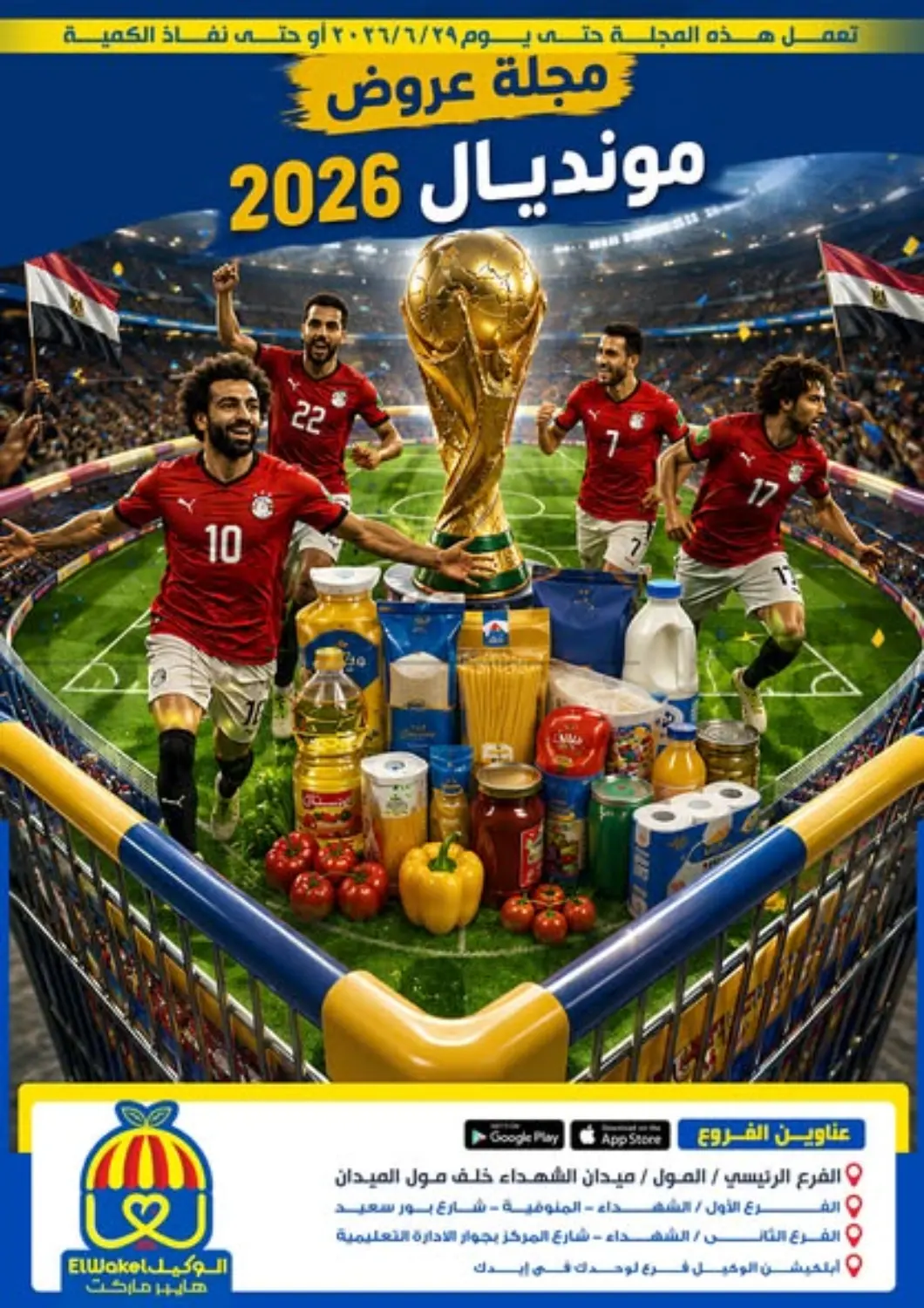Special Offer in القاهرة