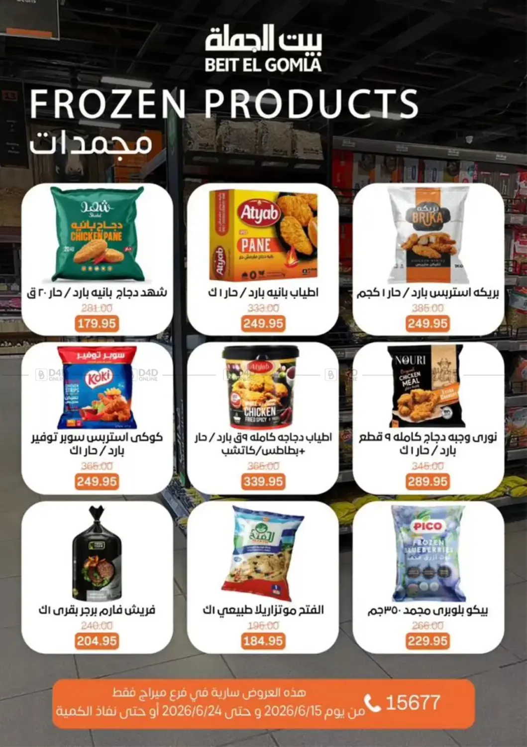 Special Offers in Cairo