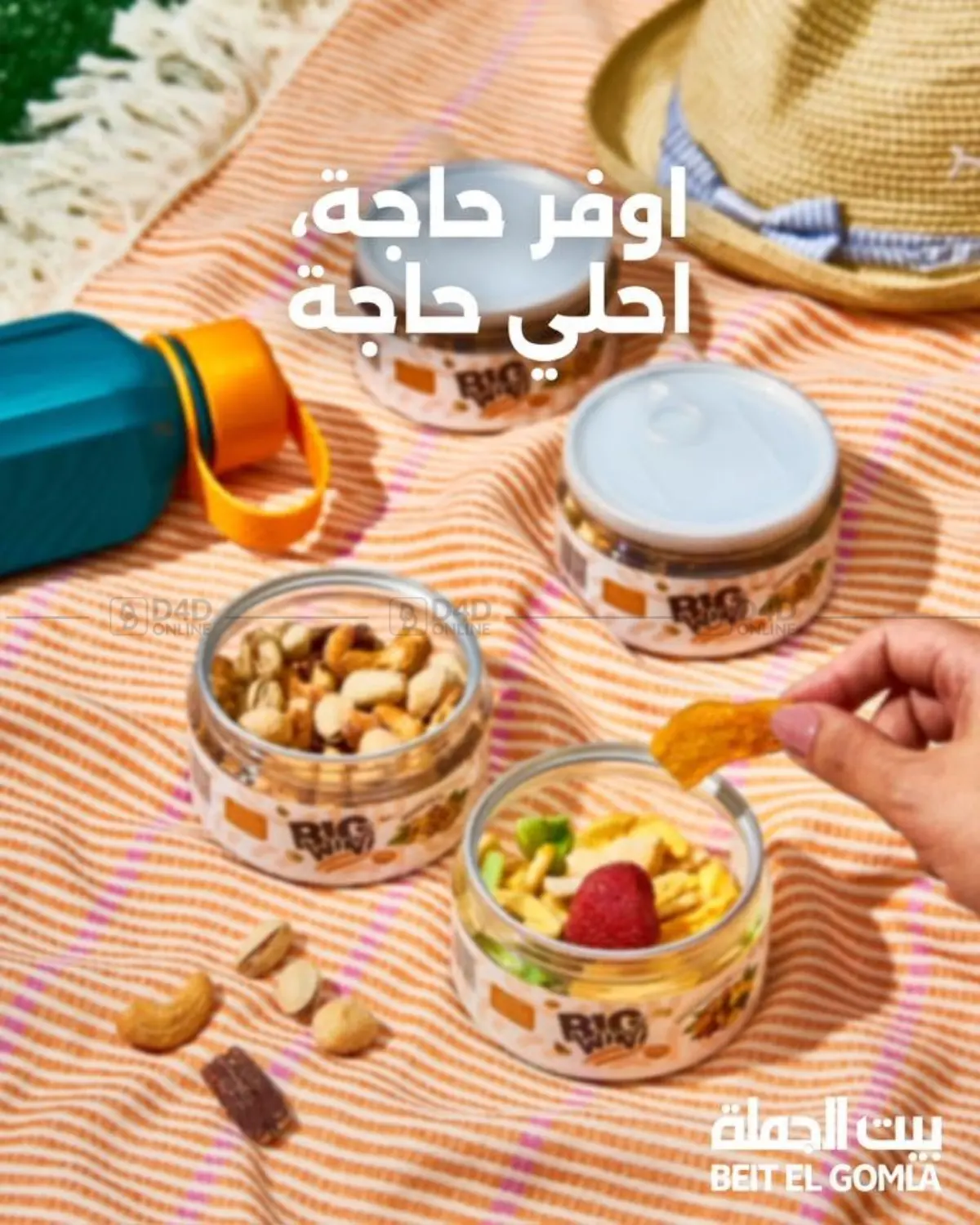 Special Offer in Cairo
