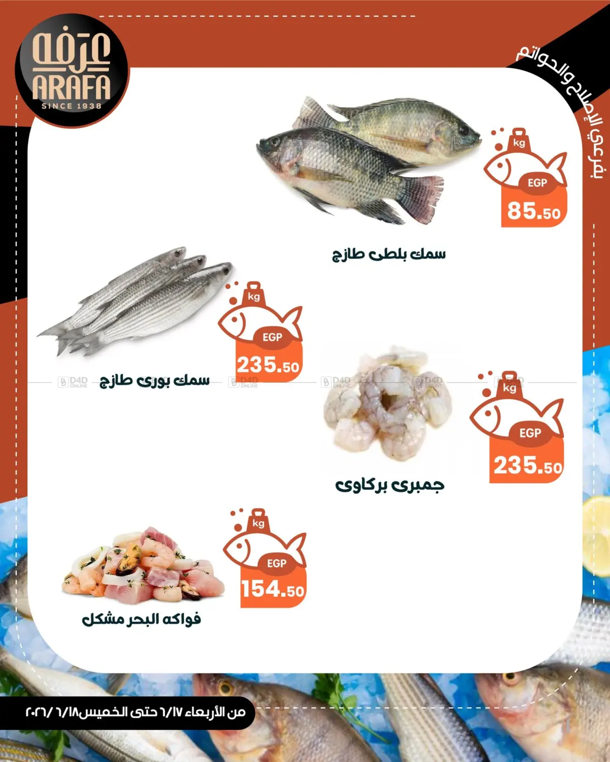 Special Offer in Cairo