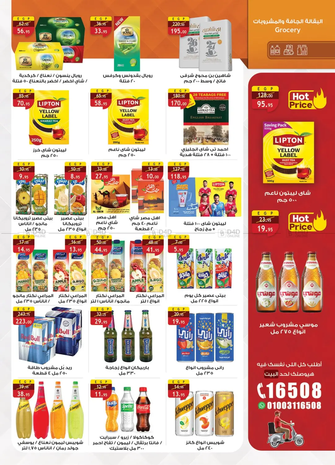 Special Offer in Cairo