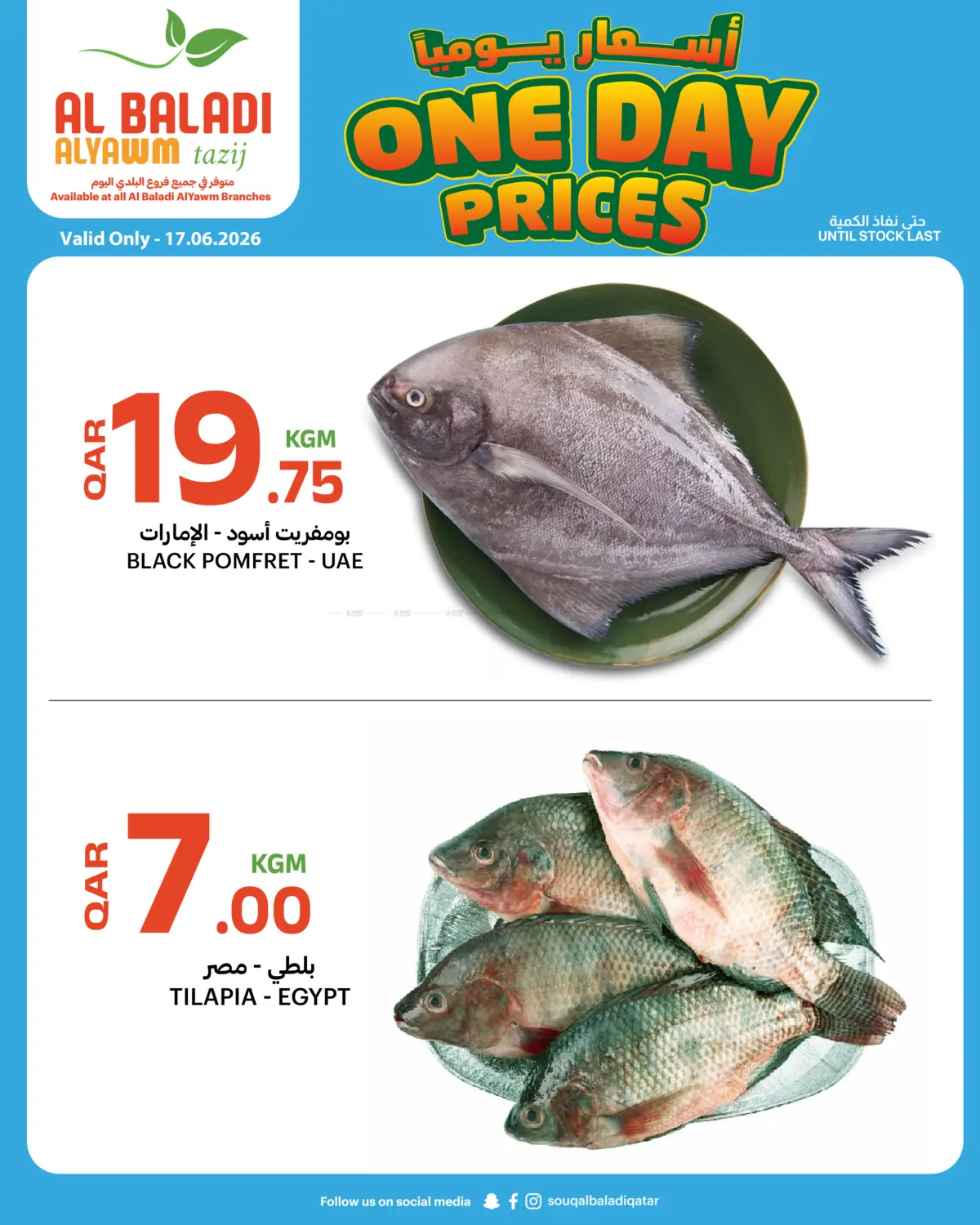 One Day Prices in Doha