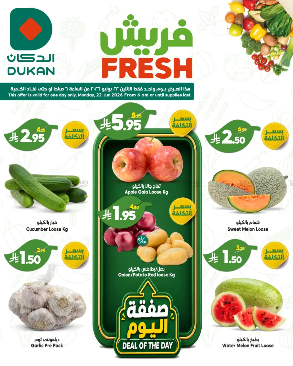 Fresh in جدة