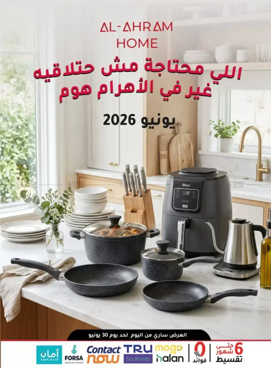 Special Offer in Cairo