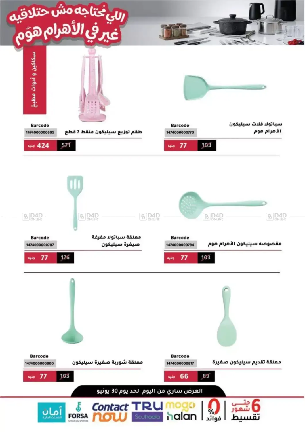 Special Offer in Cairo