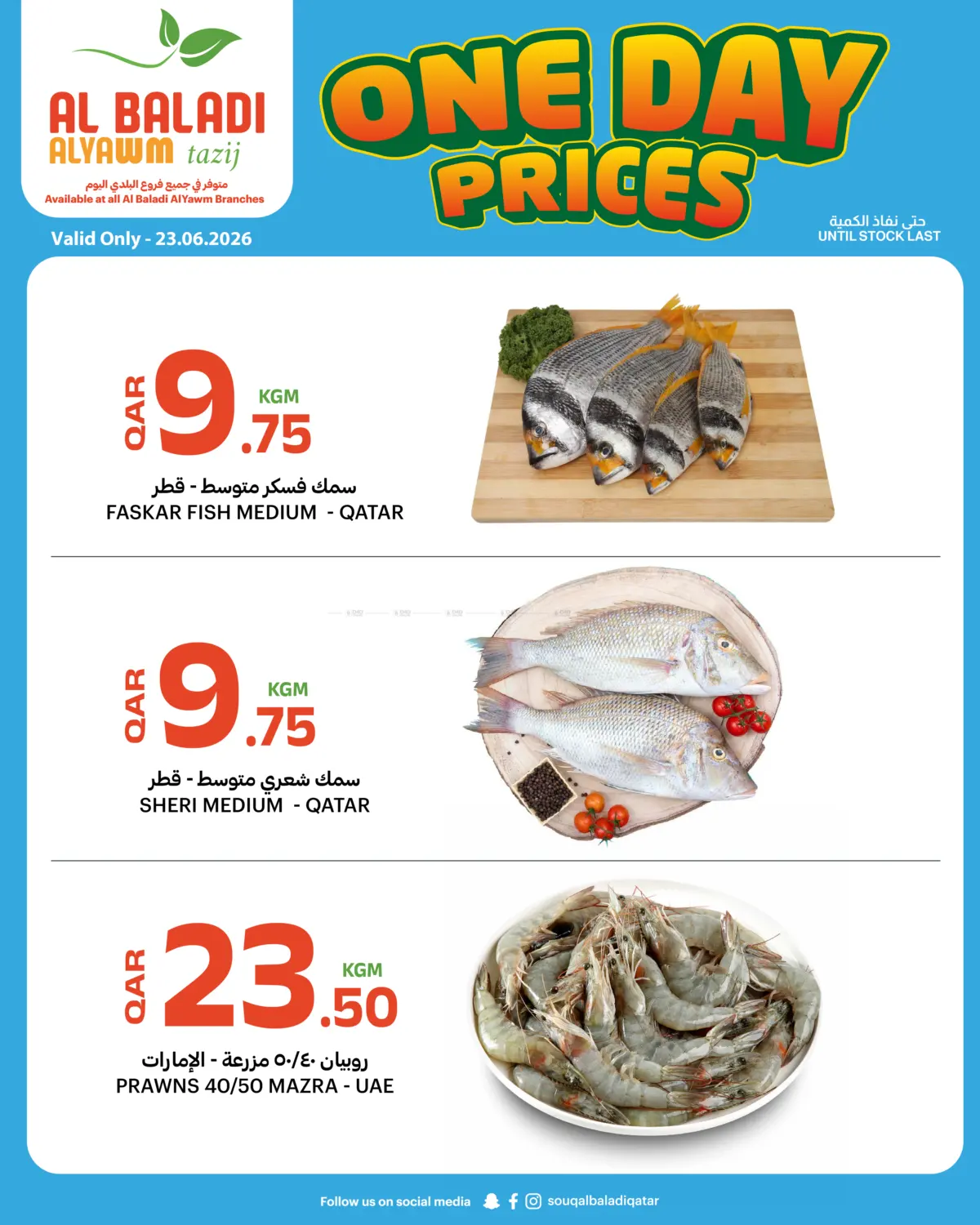 One Day Prices in Al Shamal