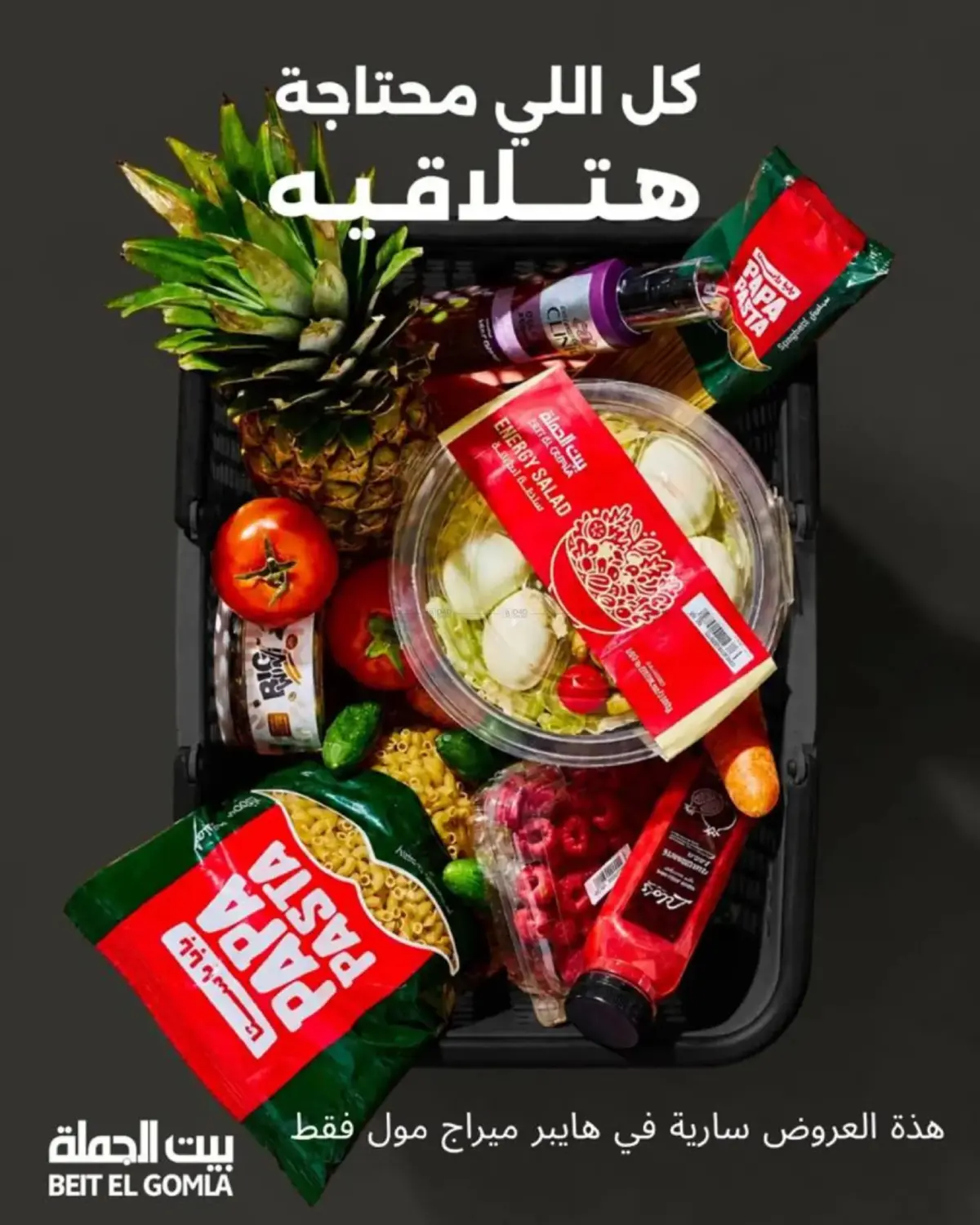 All What you Need in Cairo
