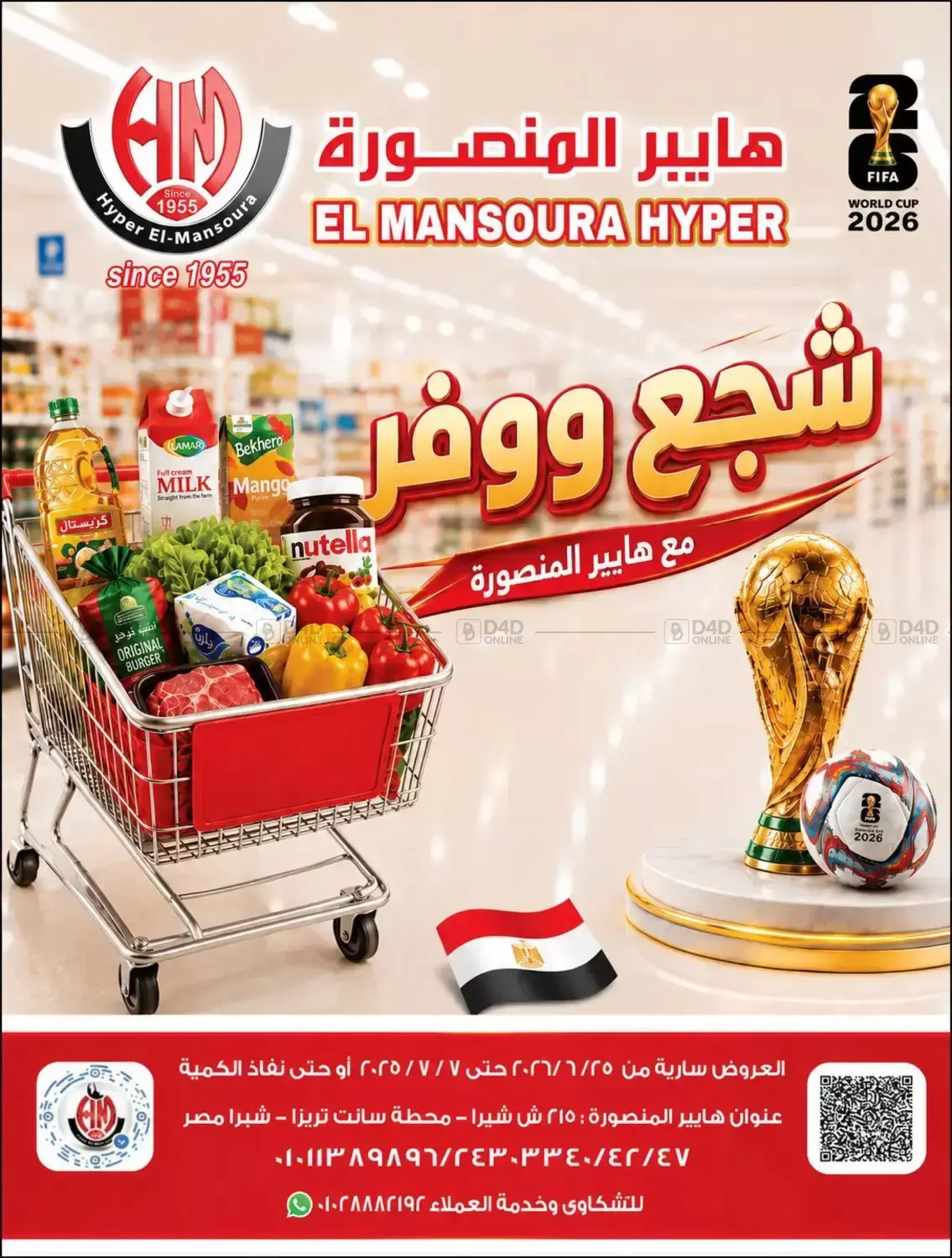 Special Offer in Cairo