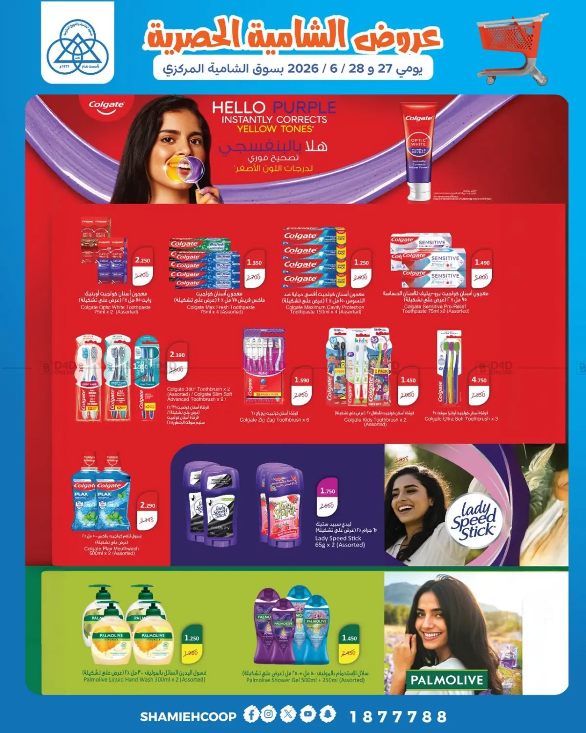 Special Offer in Kuwait City