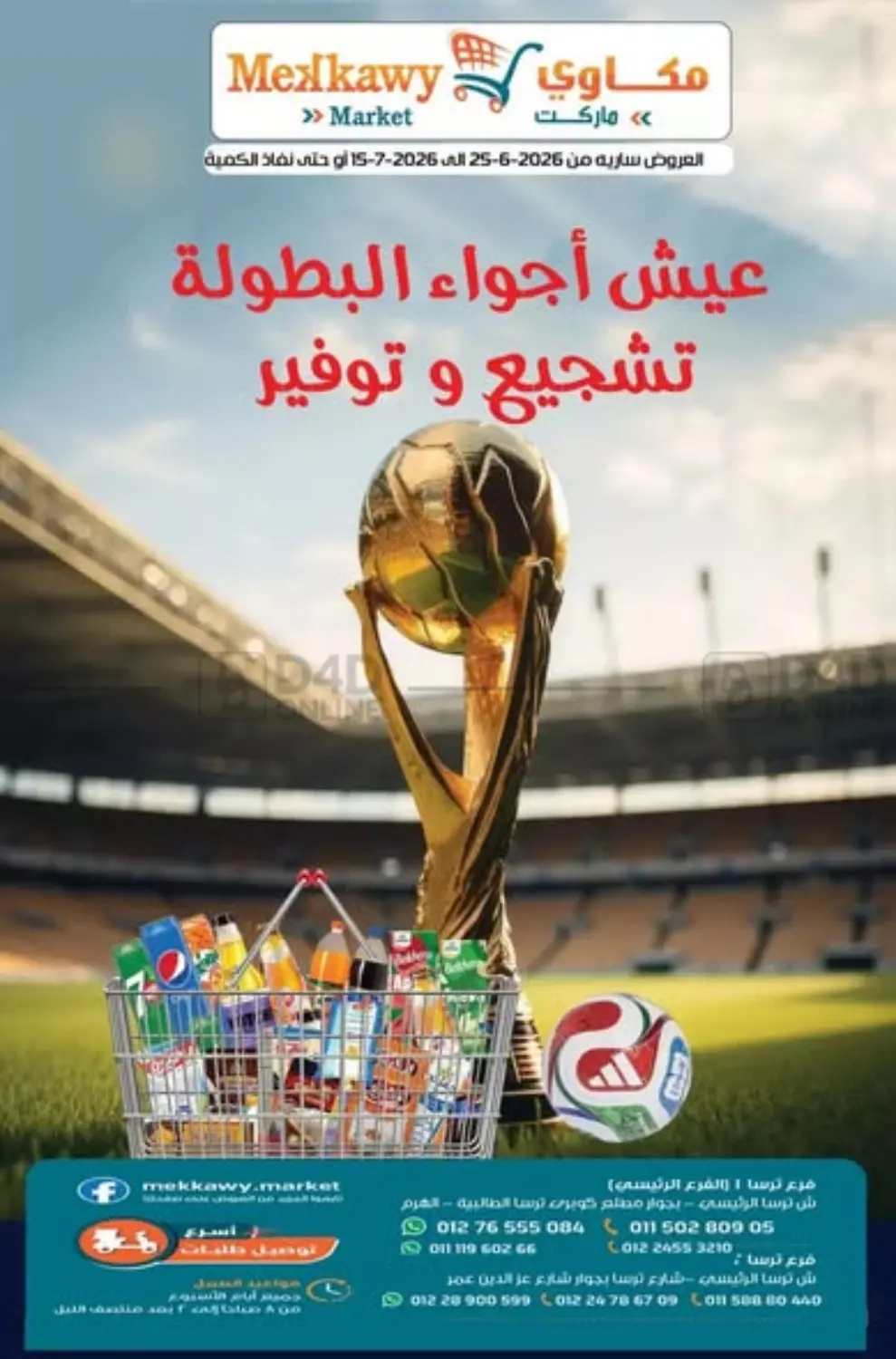 Special Offer in Cairo