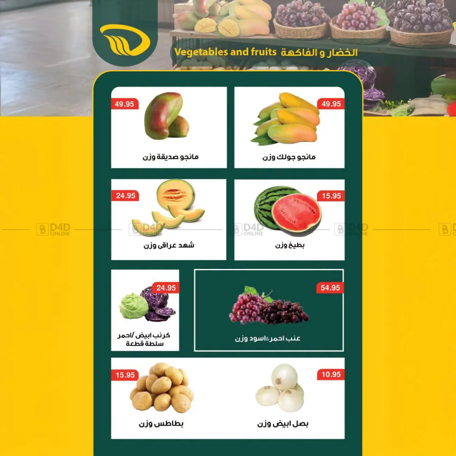 Special Offer in Cairo