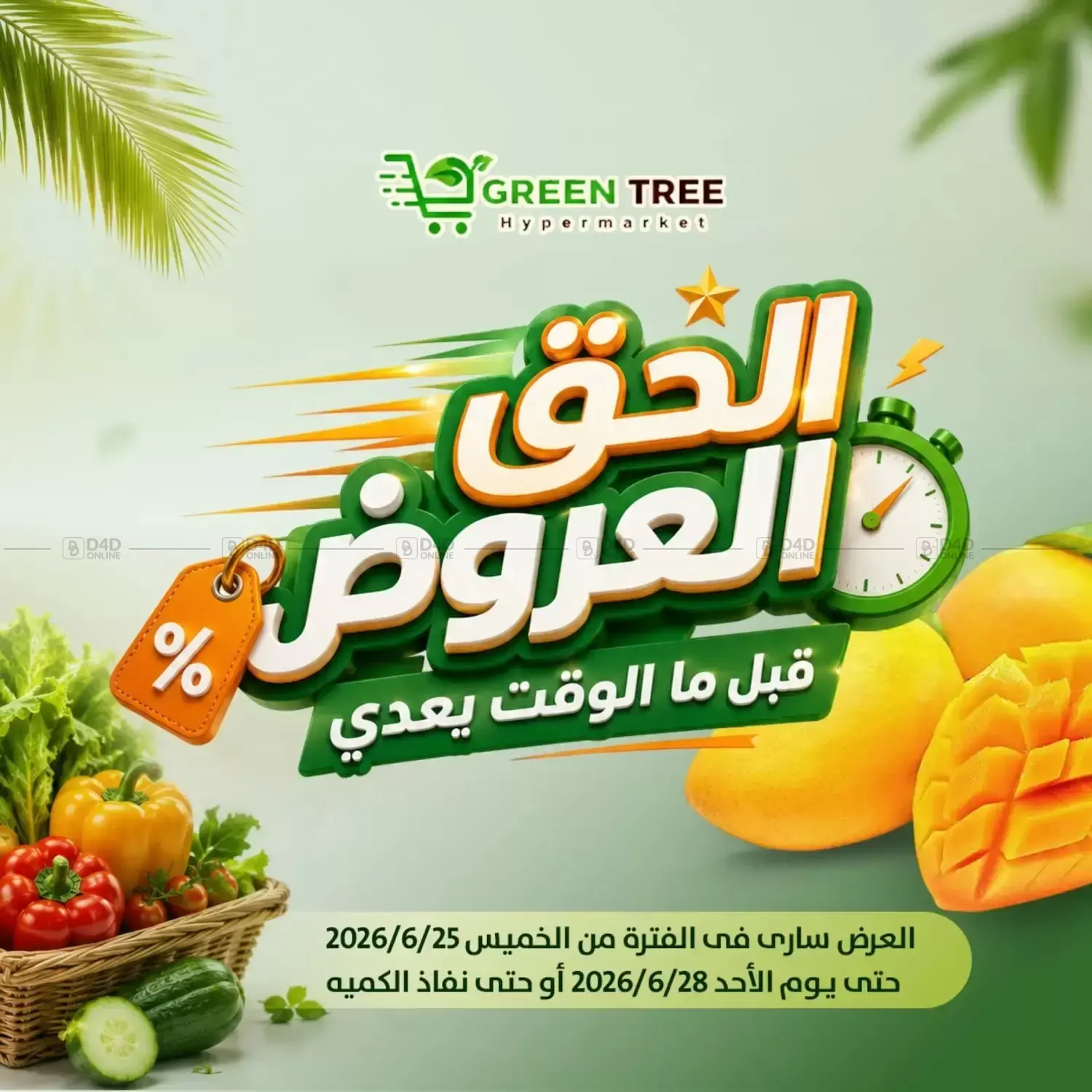 Special Offer in Cairo