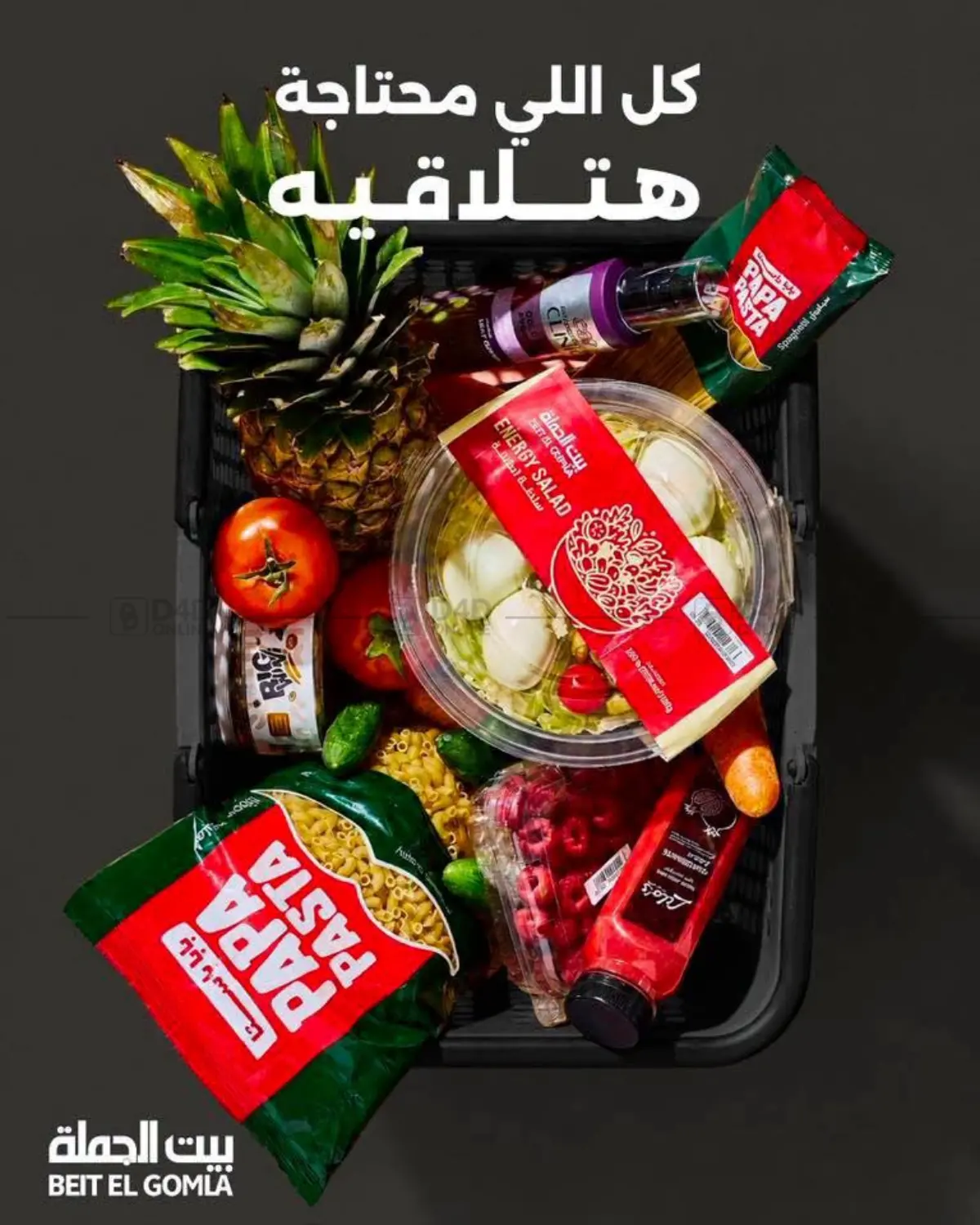 Special Offer in Cairo