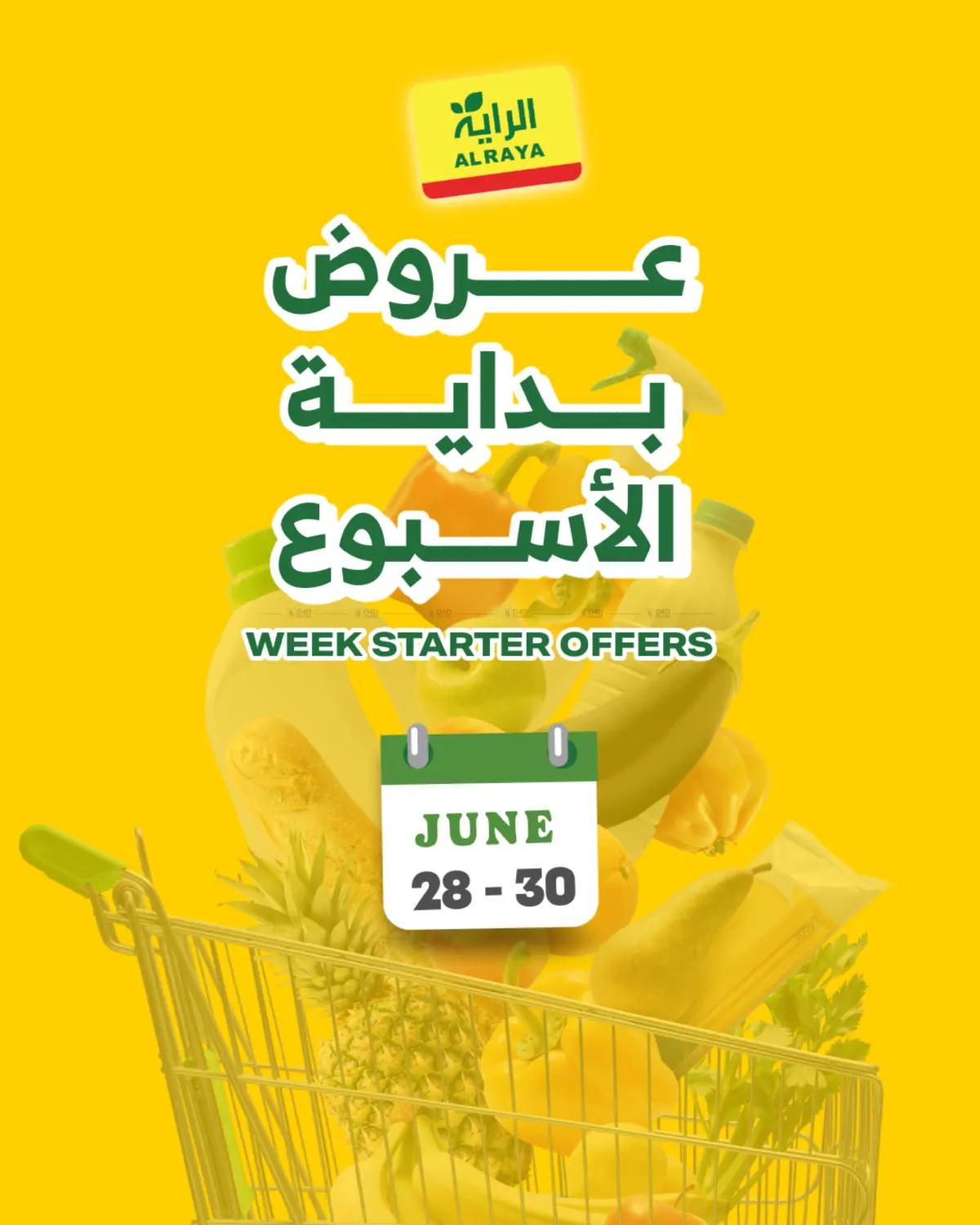 Week Strarter Offers in Medina