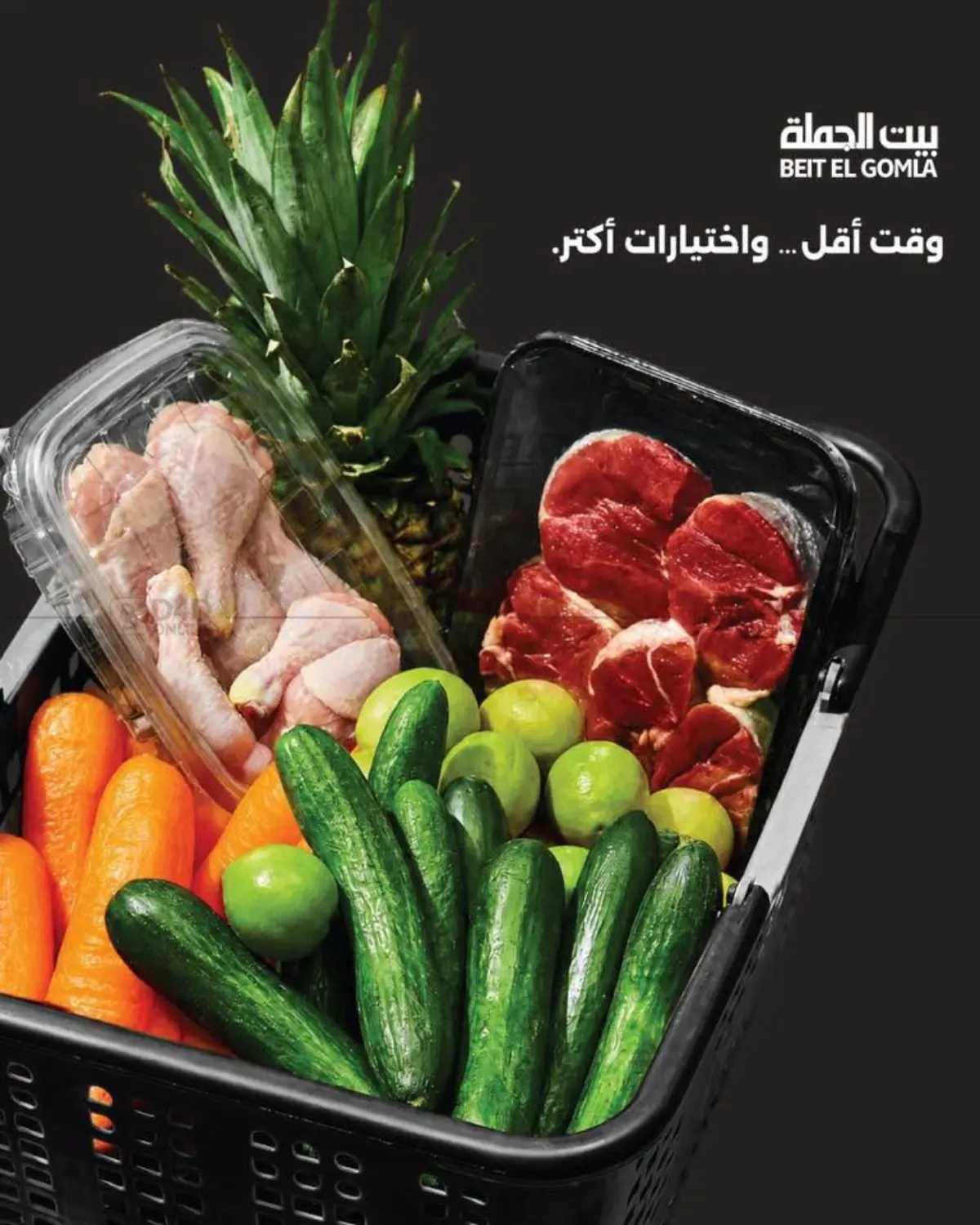 Special offers in Cairo