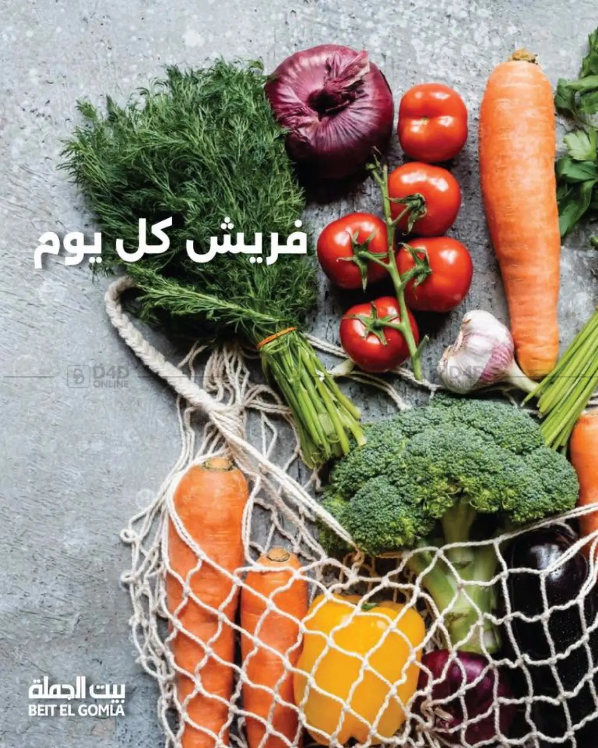 Special Offer in Cairo