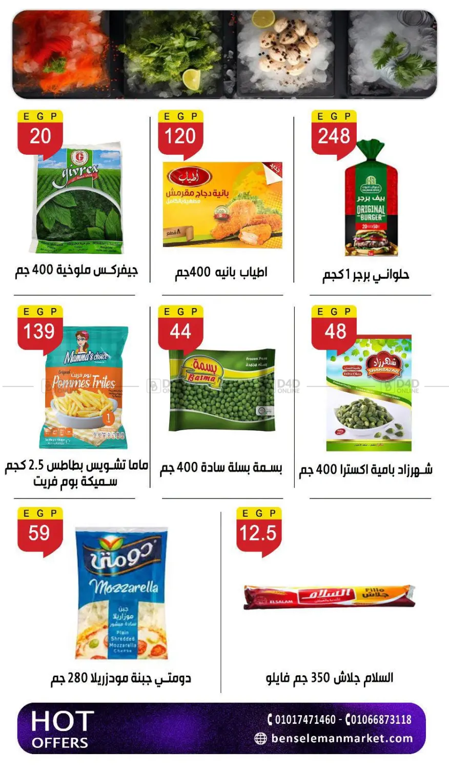 Summer offer in Cairo