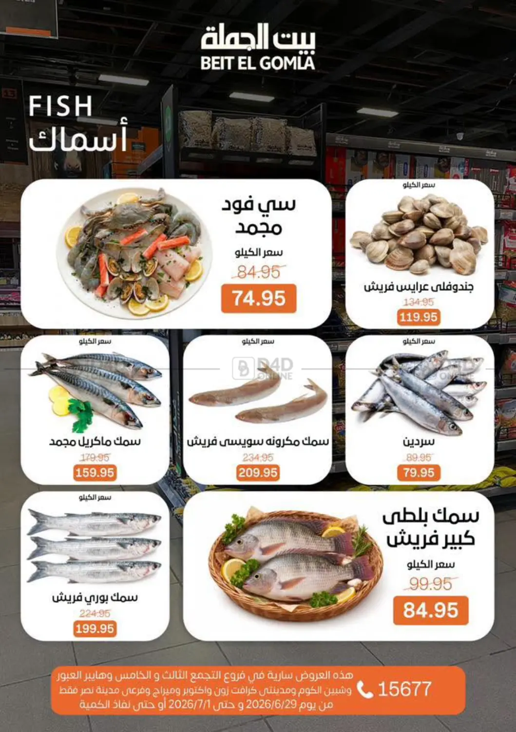 Special Offer in Cairo