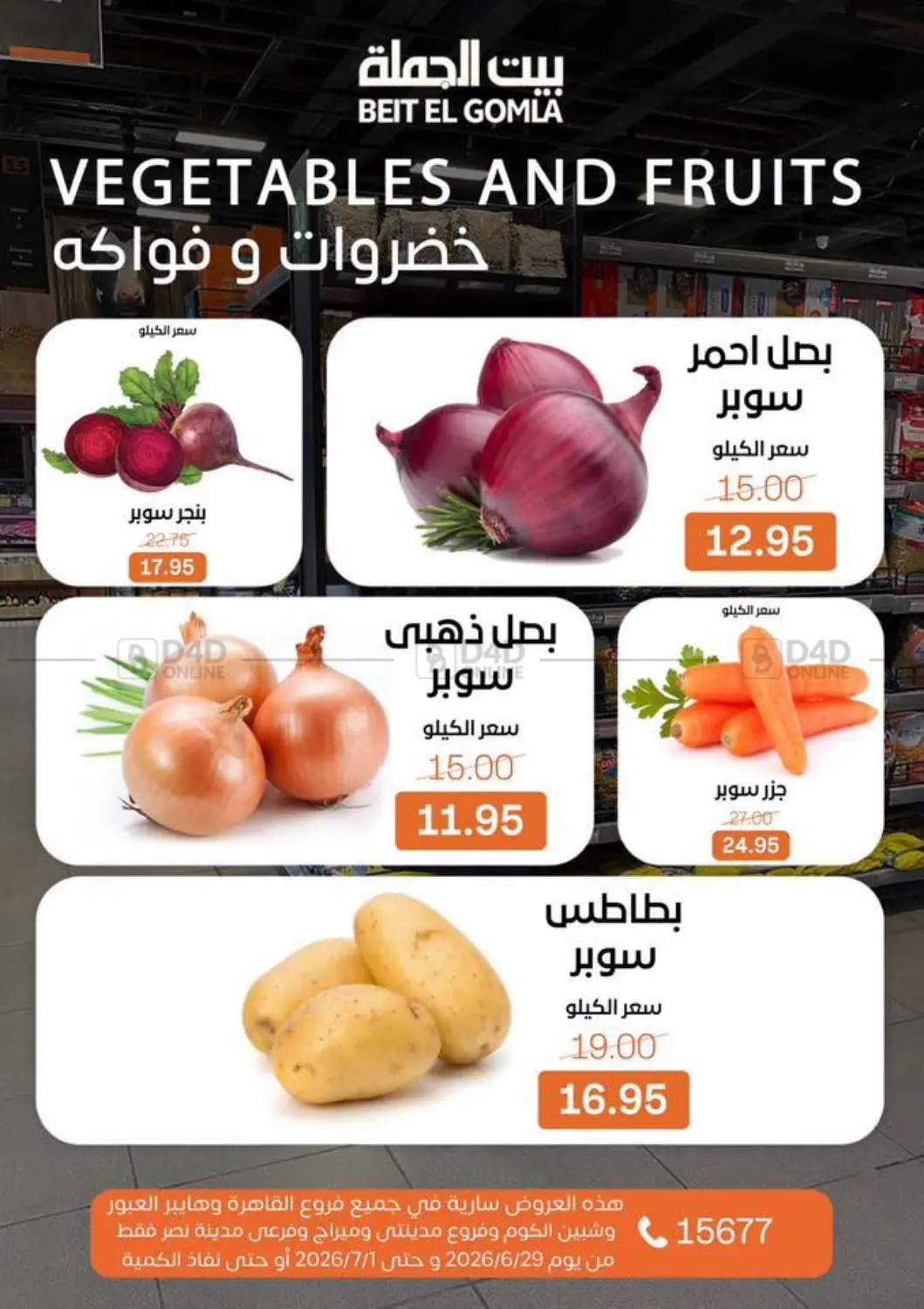 Special Offer in Cairo