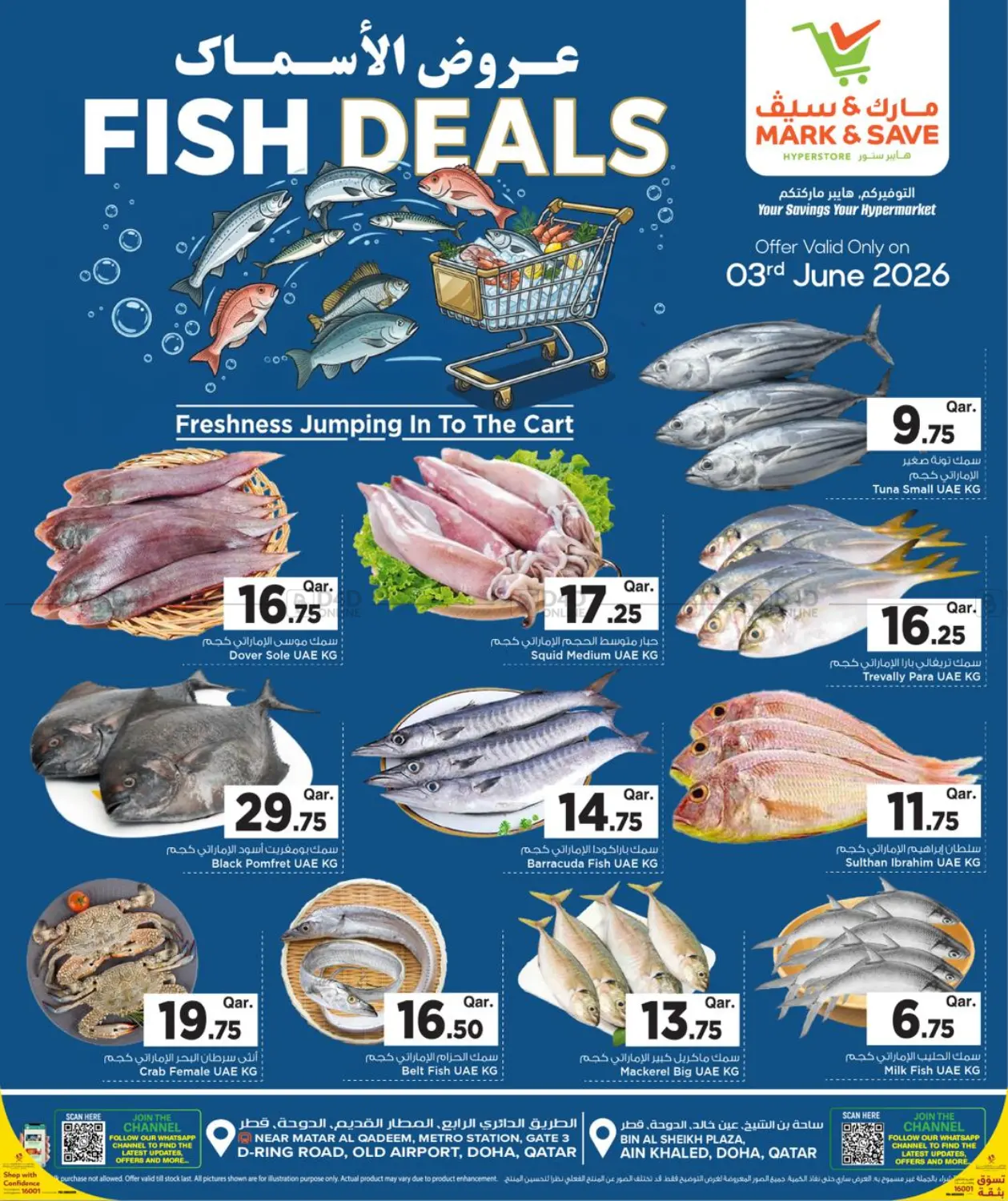 Fish Deals in Al-Shahaniya