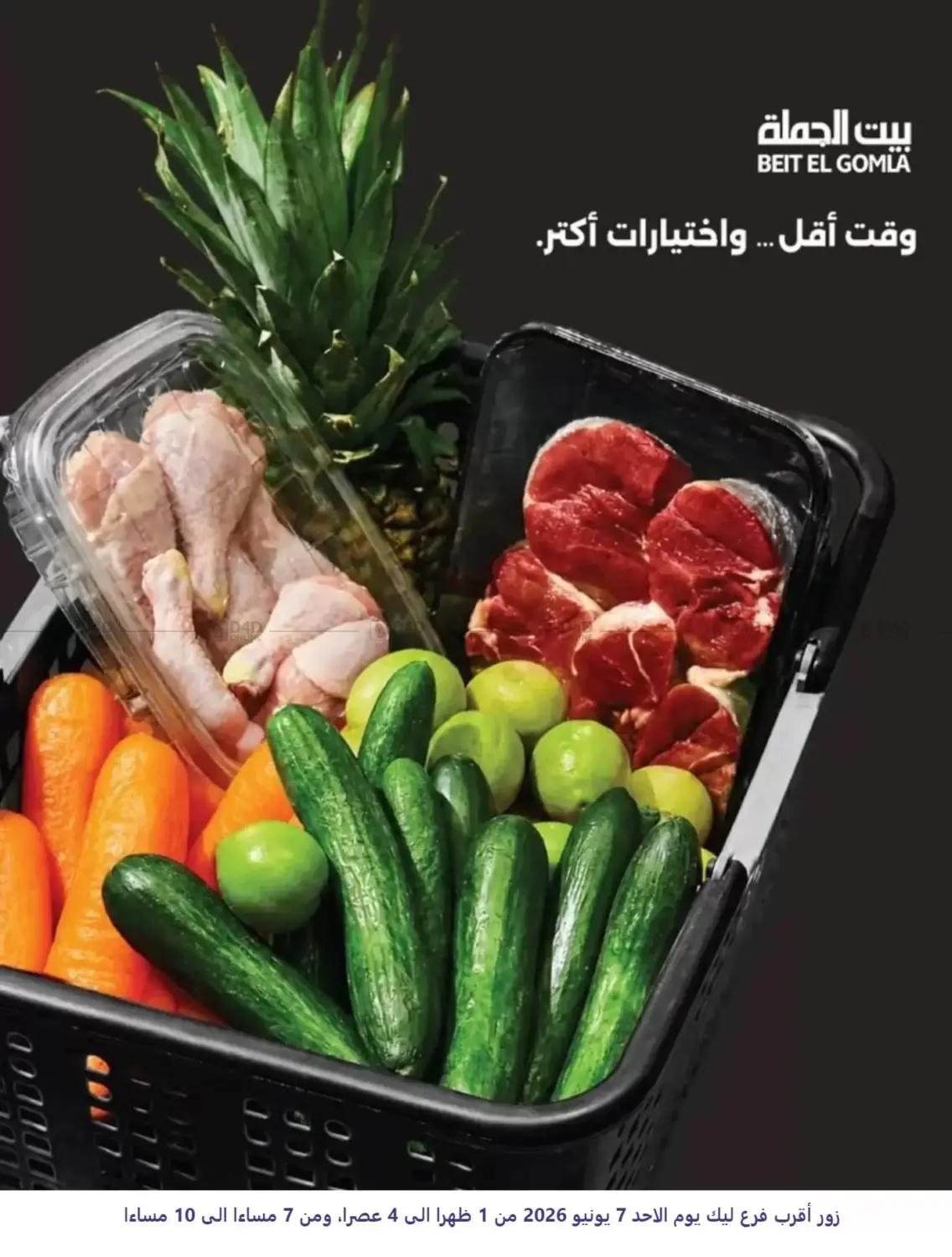Special offers in Cairo