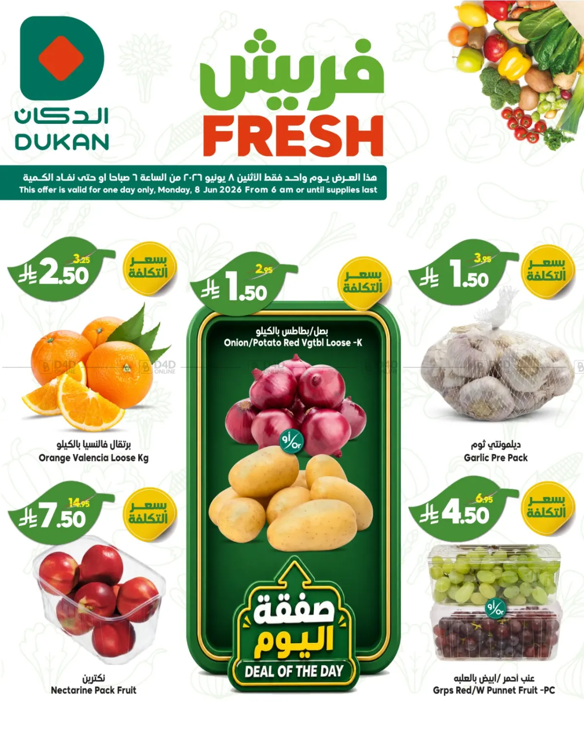 Fresh Offers in جدة