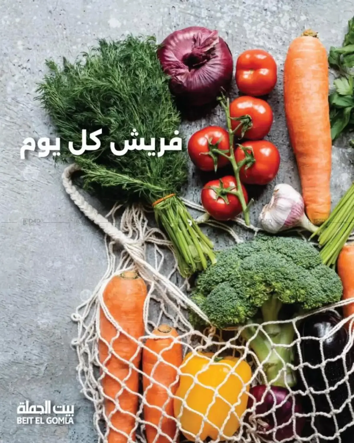 Special offers in Cairo