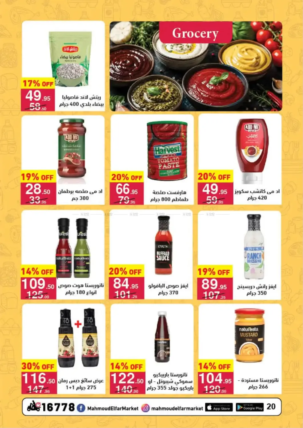 Special Offer in Cairo