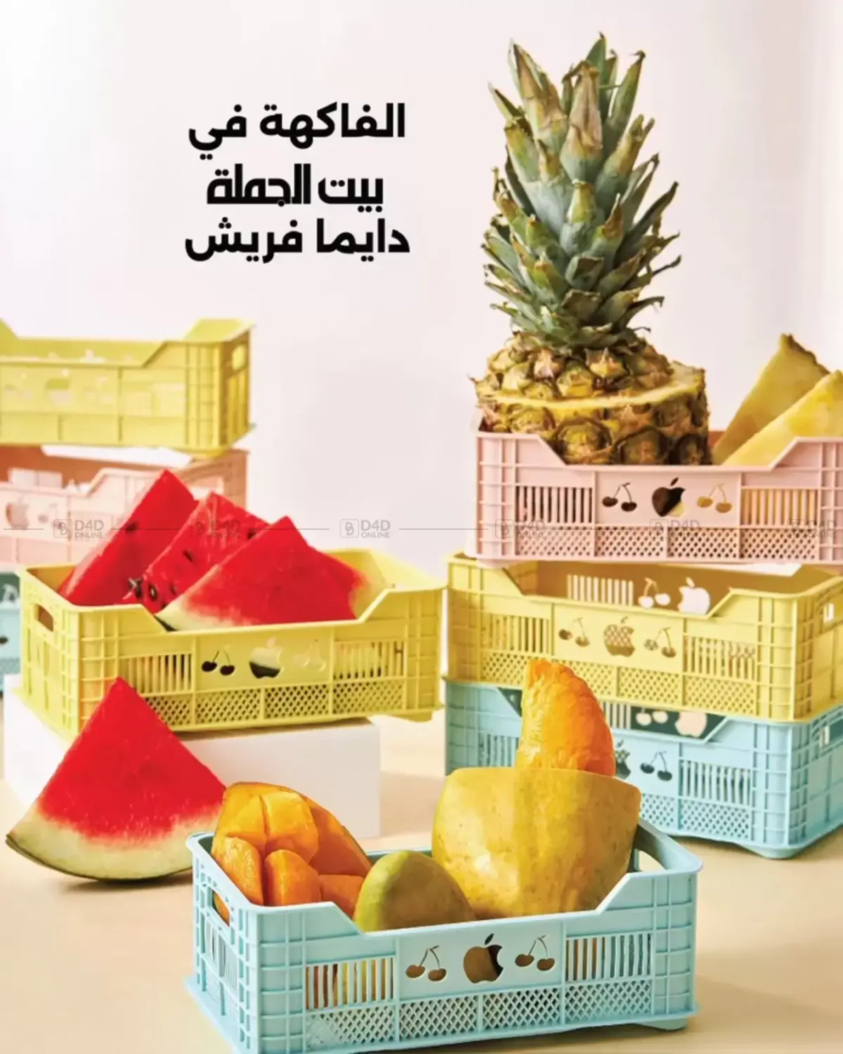 Special Offer in Cairo