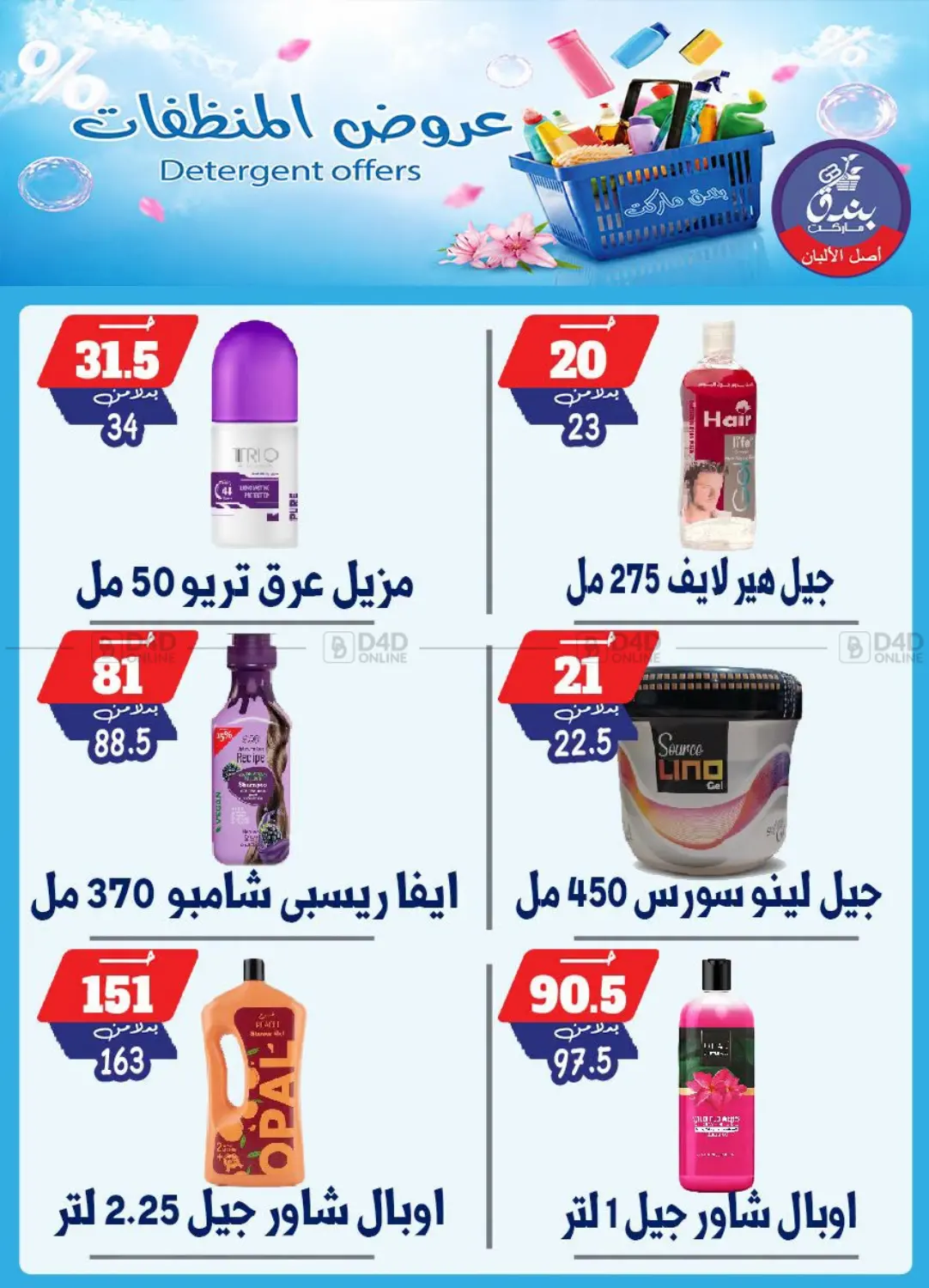 Special Offer in Cairo