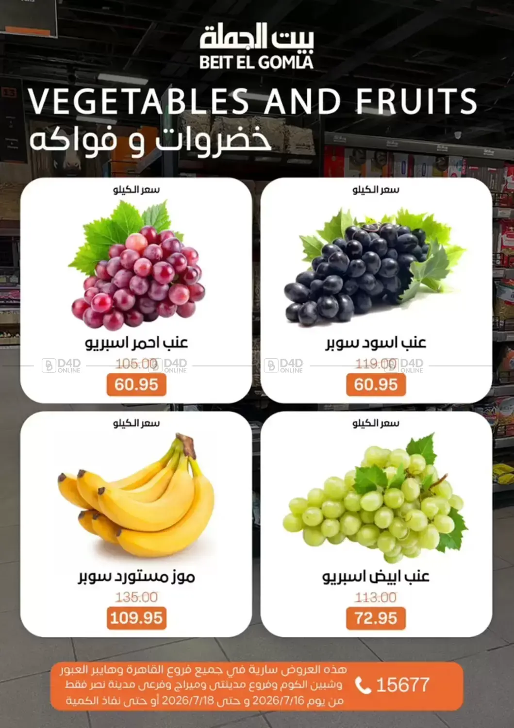 Special Offer in Cairo