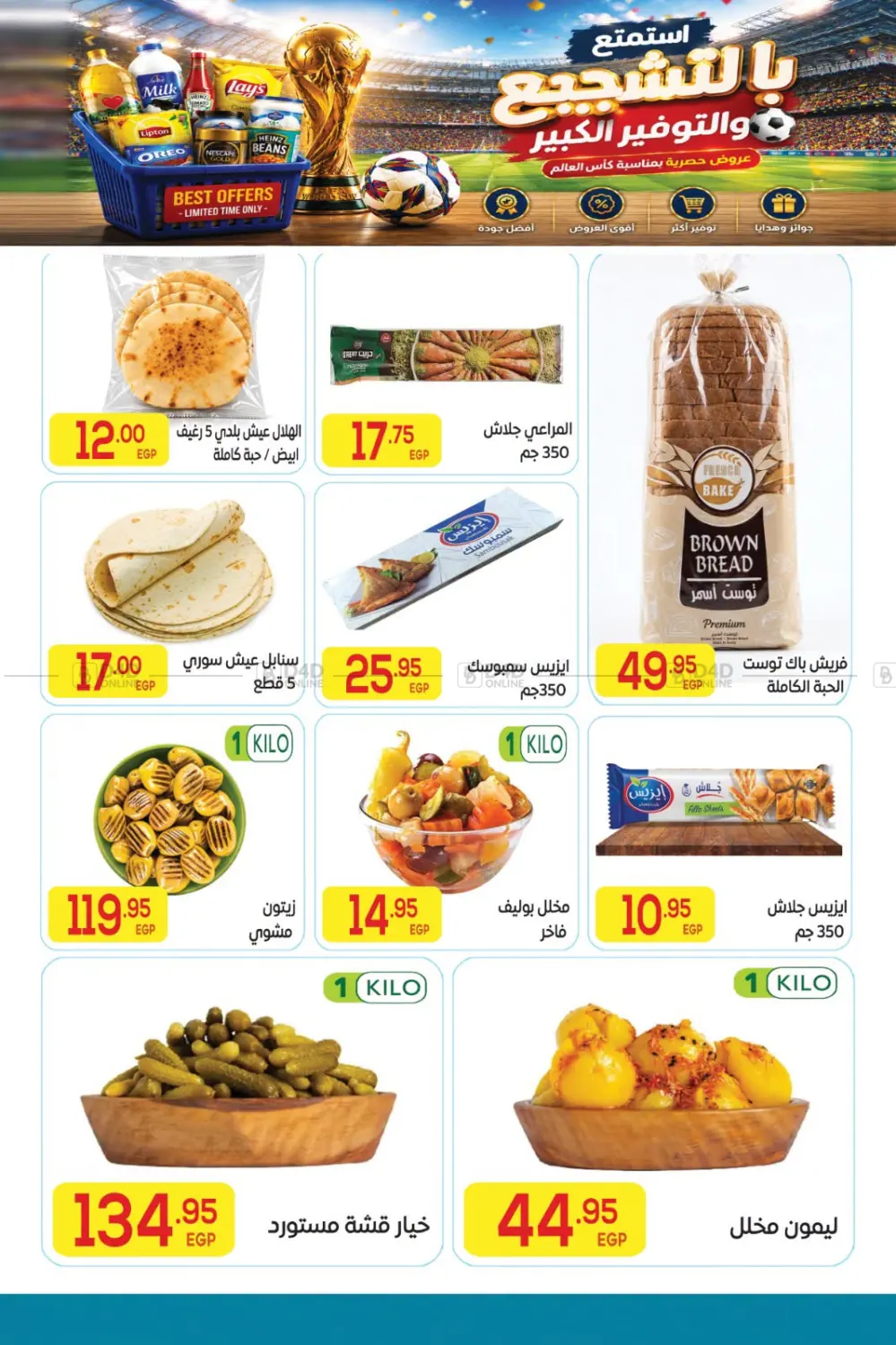 Special Offer in Cairo