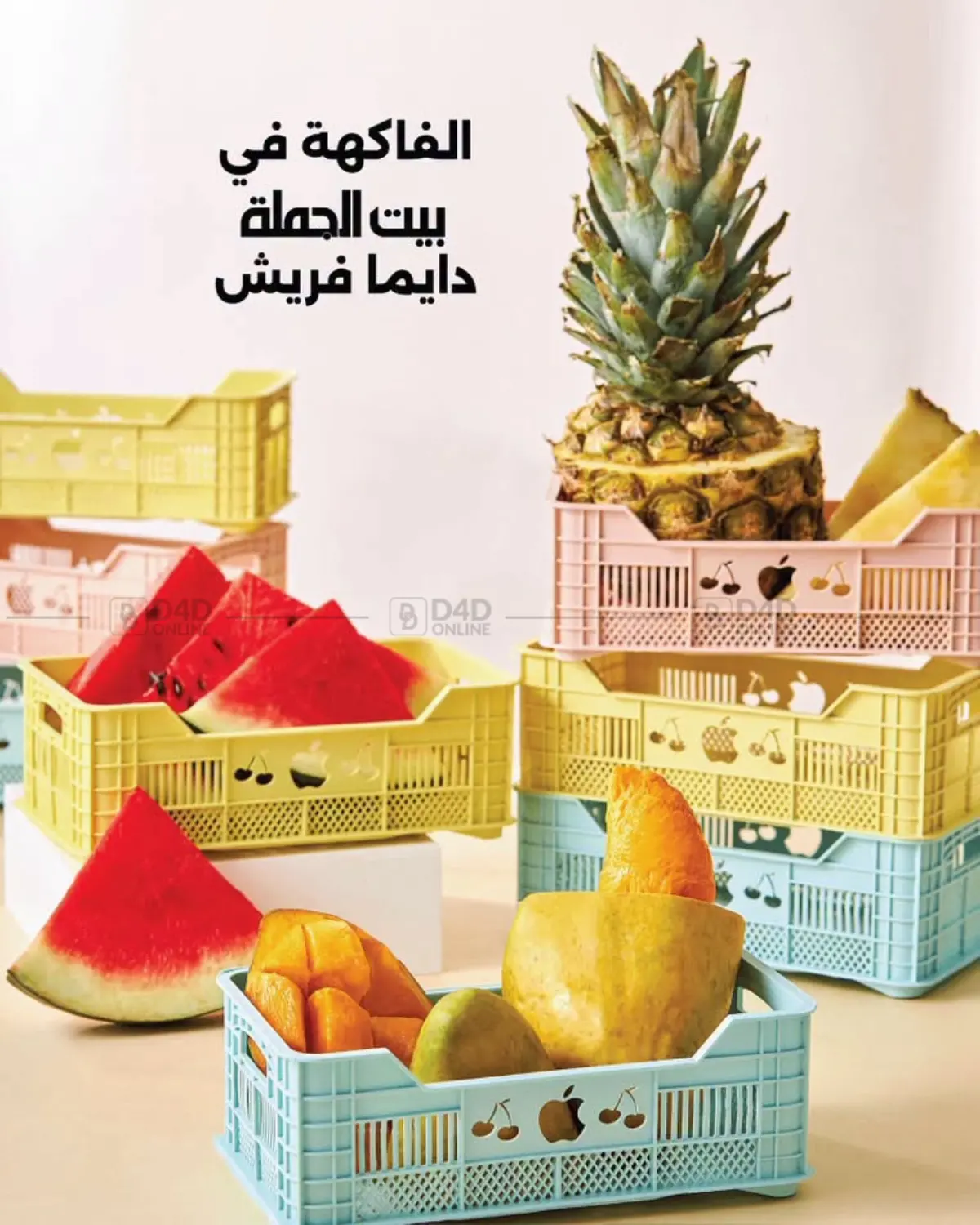 Special Offers in Cairo