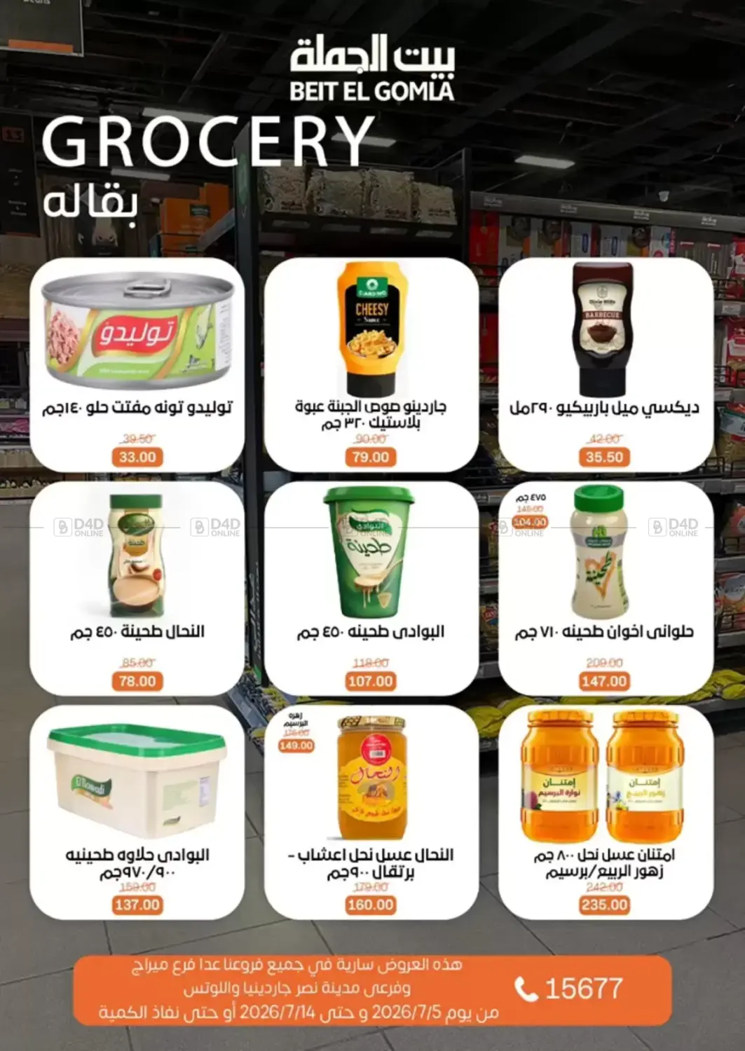 Special Offer in Cairo