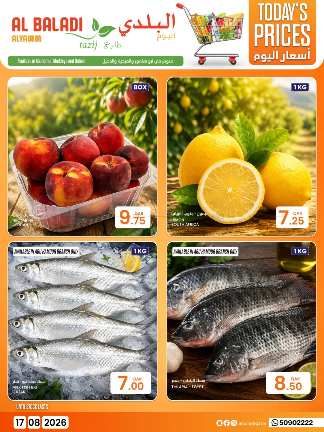 Today's Price in الشحانية