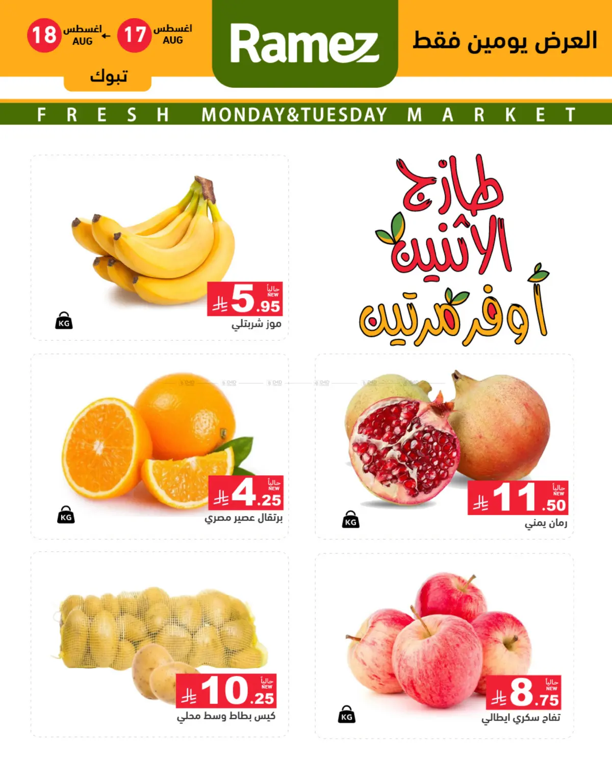 Special Offer in تبوك