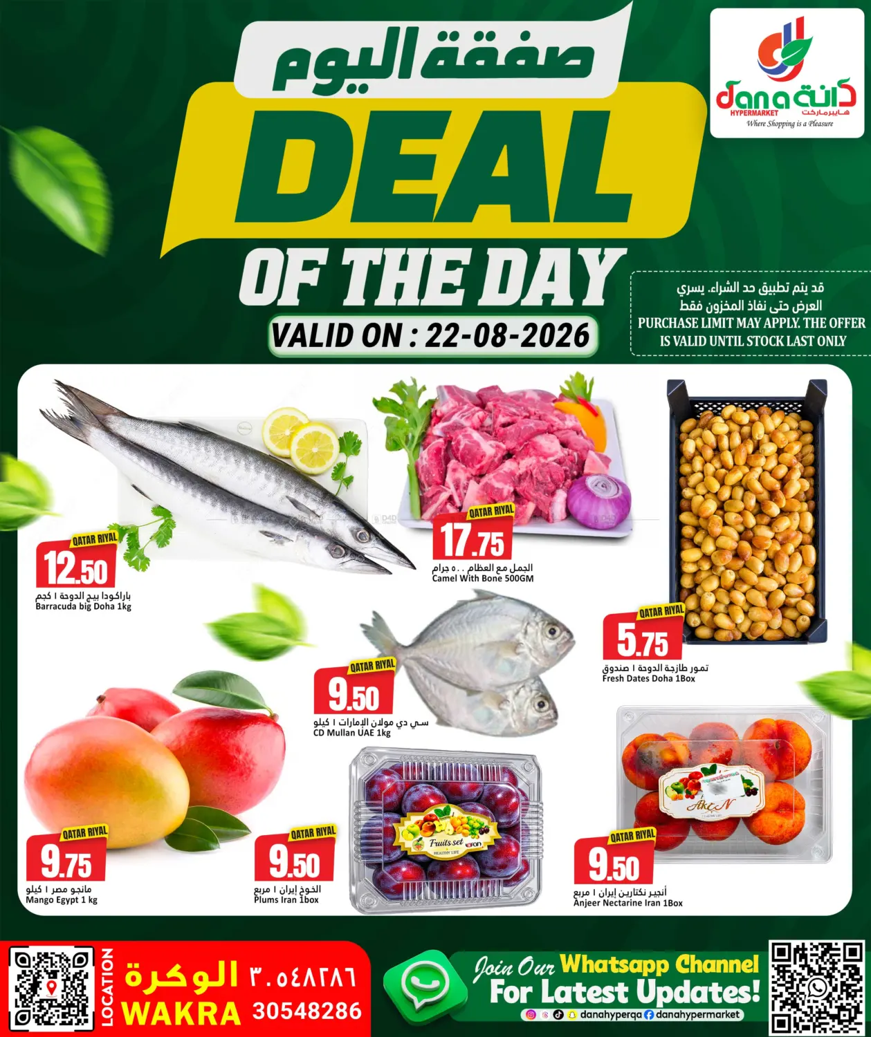 Deal Of The Day in Al Wakra