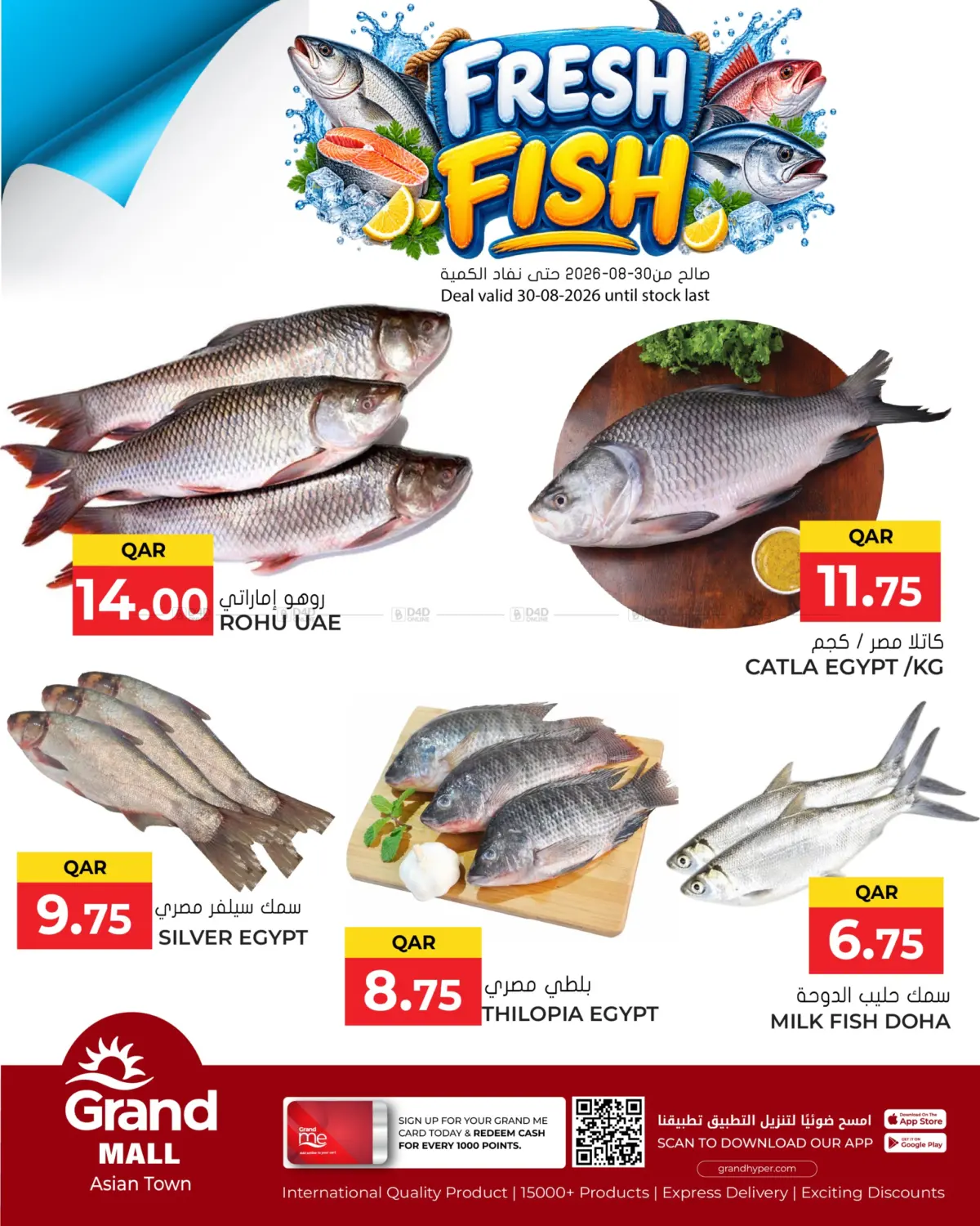 Fresh Fish in Al-Shahaniya